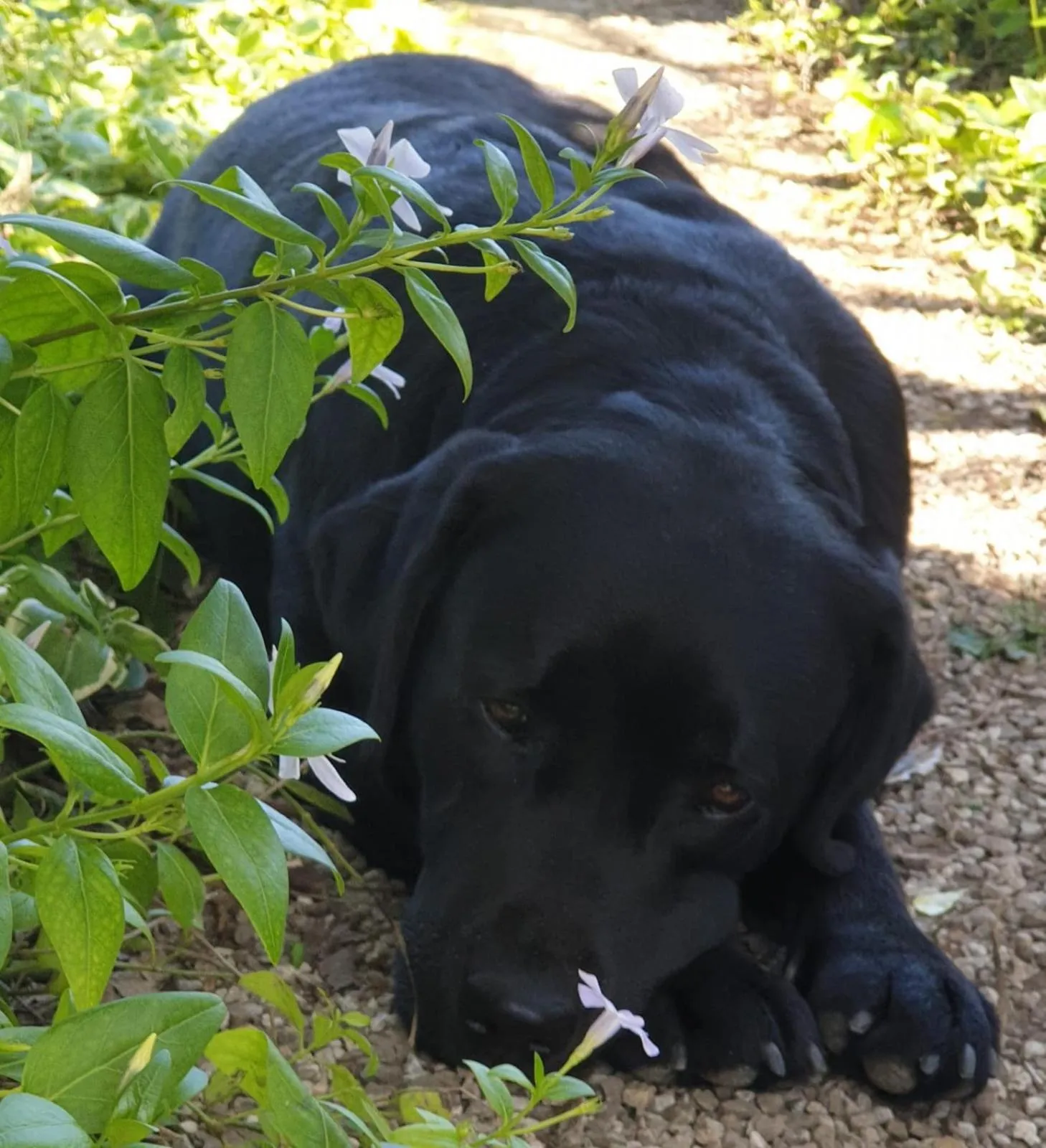 B&B Il giardino ritrovato