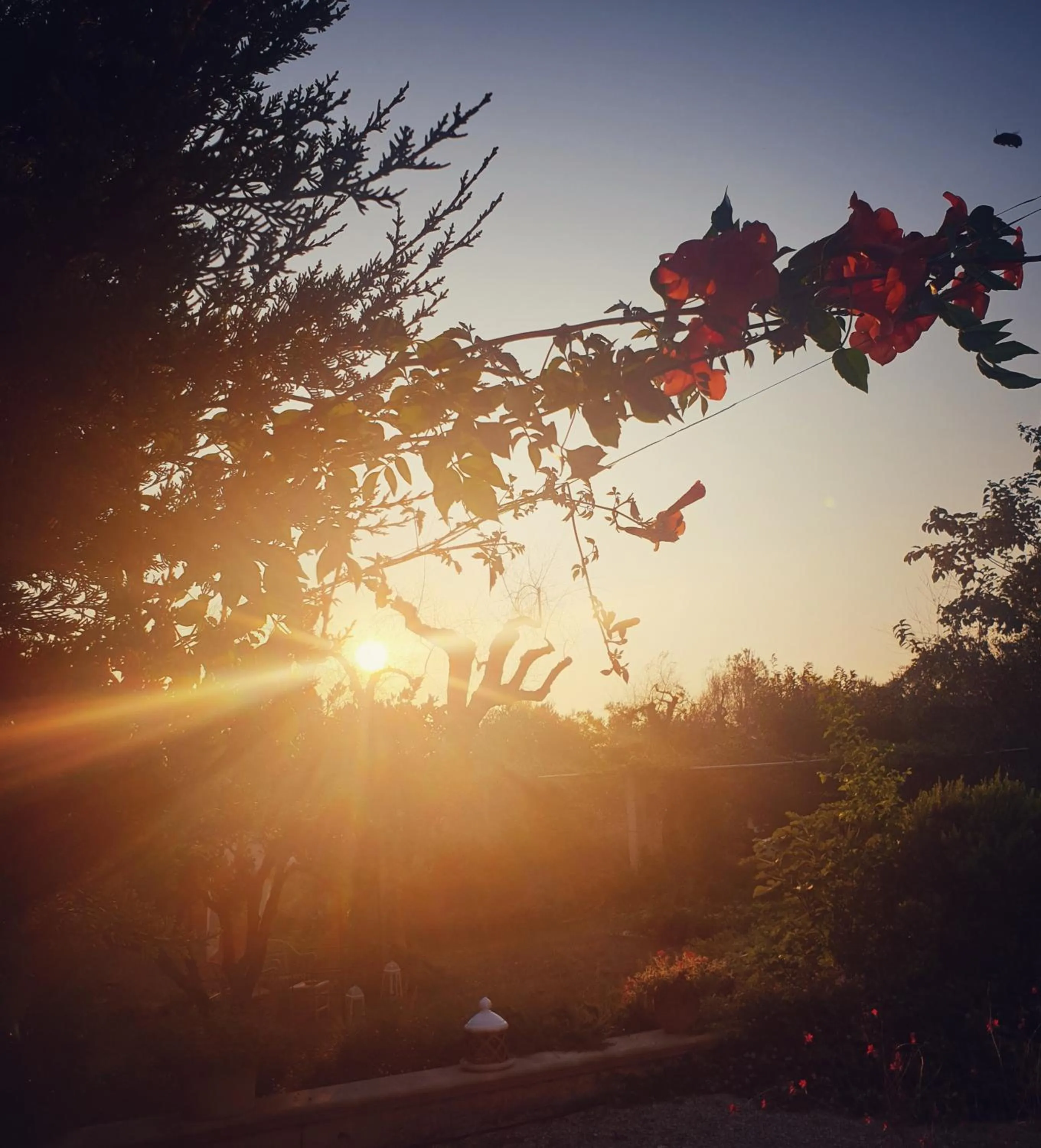 B&B Il giardino ritrovato