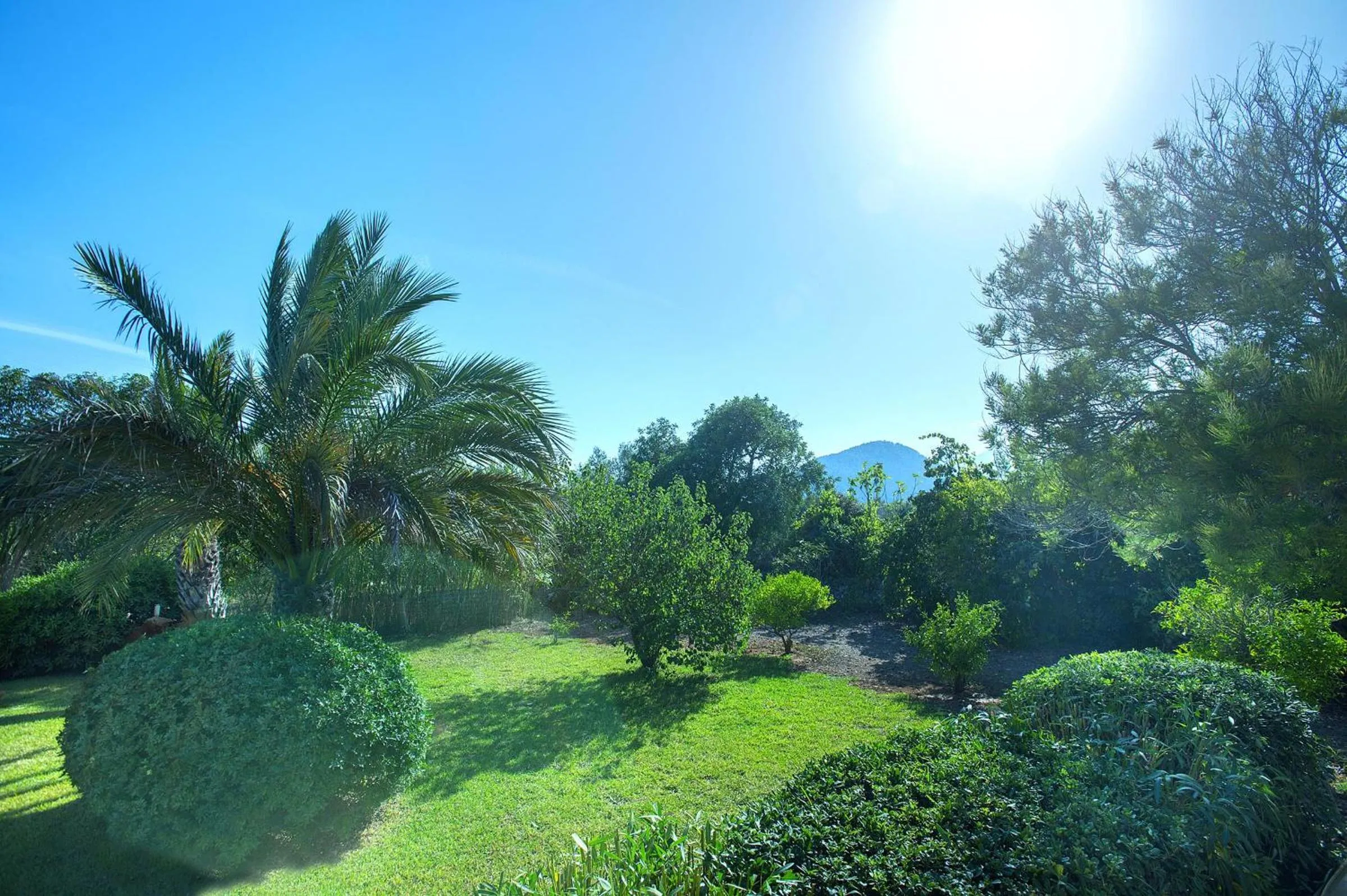 Garden in Villa TANCOTES
