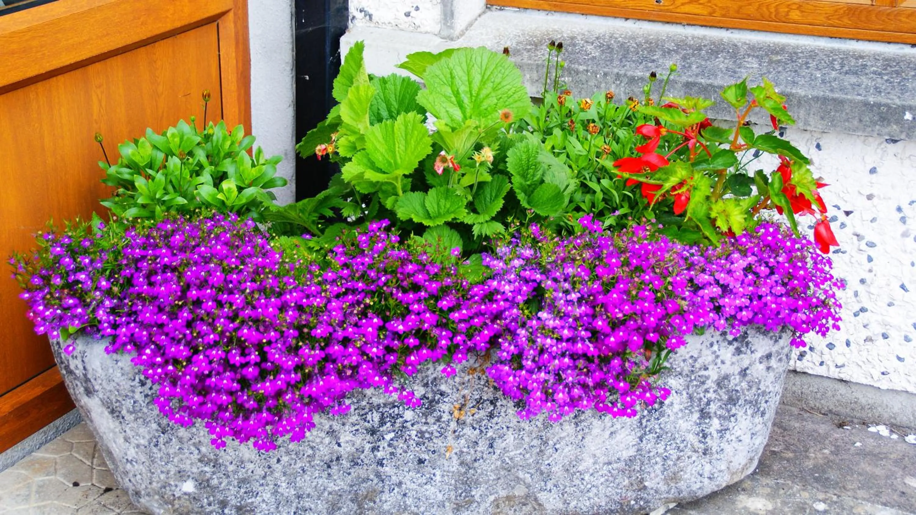 Garden in Rockville House B&B