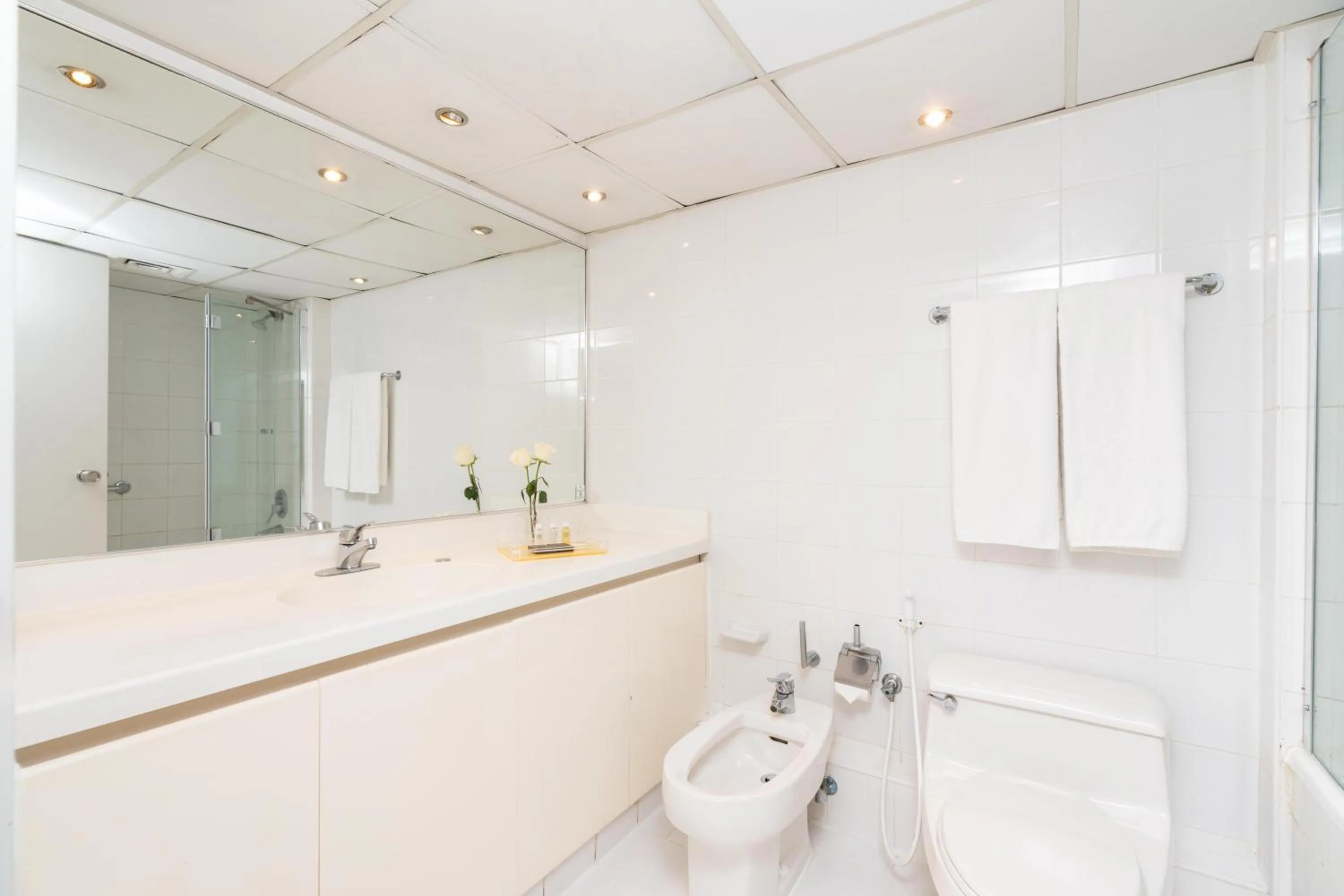 Shower in Golden Sands Hotel Apartments