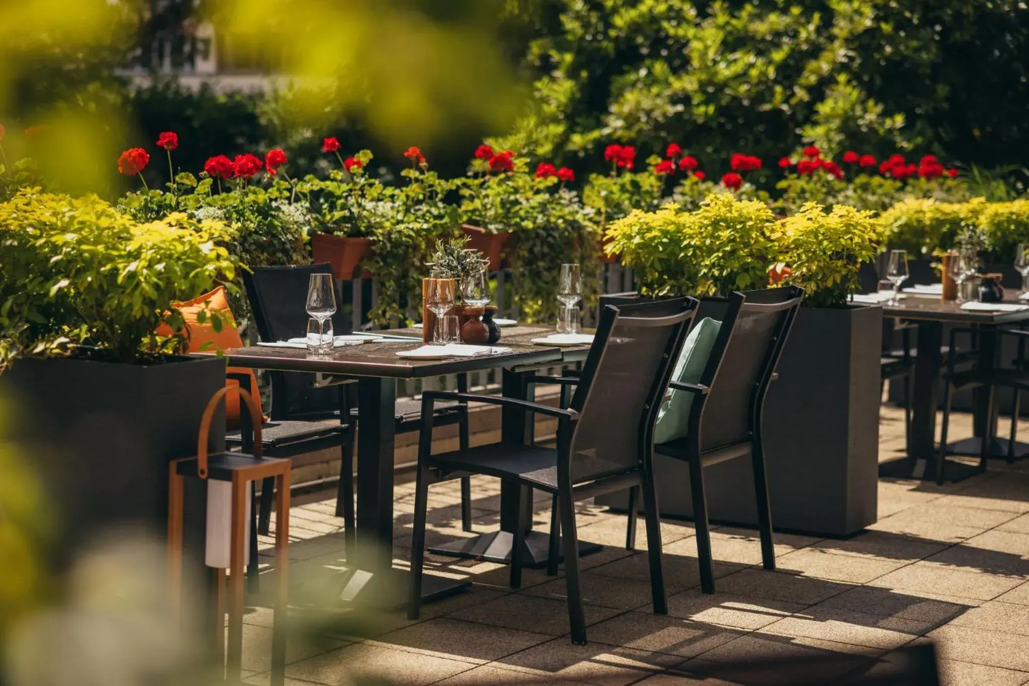 Restaurant/places to eat in Crowne Plaza Geneva by IHG Restaurant/places to eat in Crowne Plaza Geneva by IHG