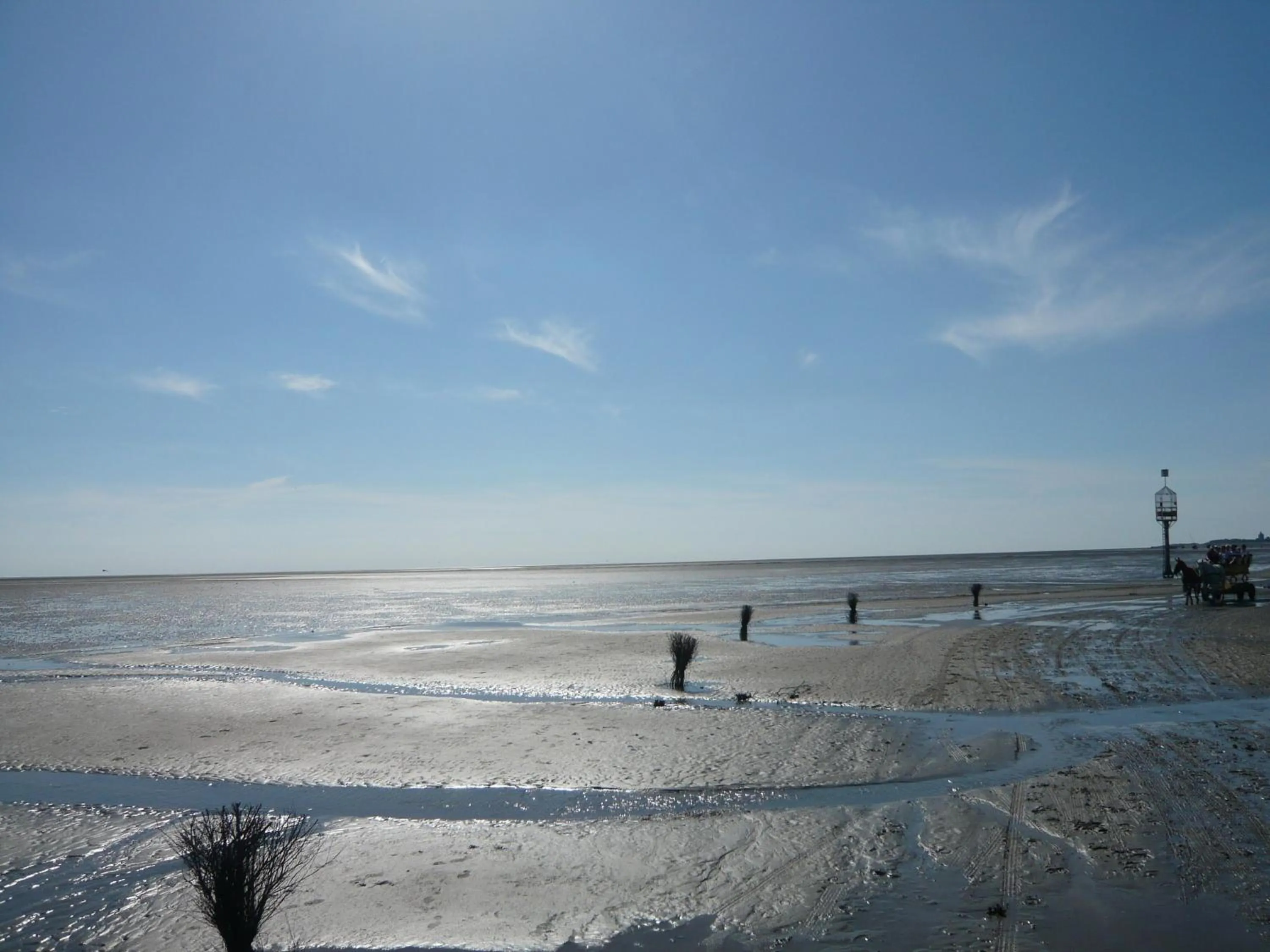 Area and facilities in Haus Thorwarth - Hotel garni