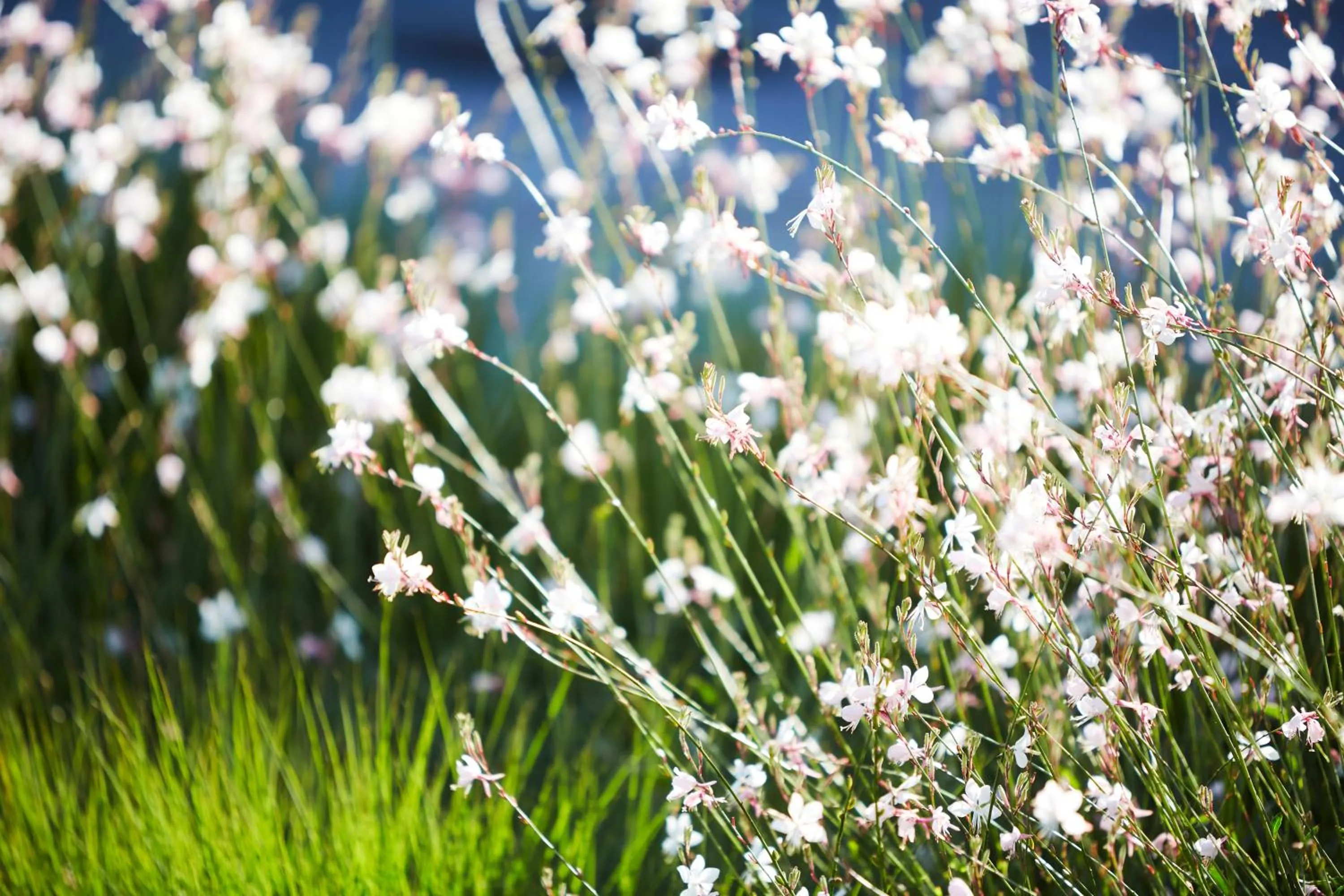 Nearby landmark in B&B Sett