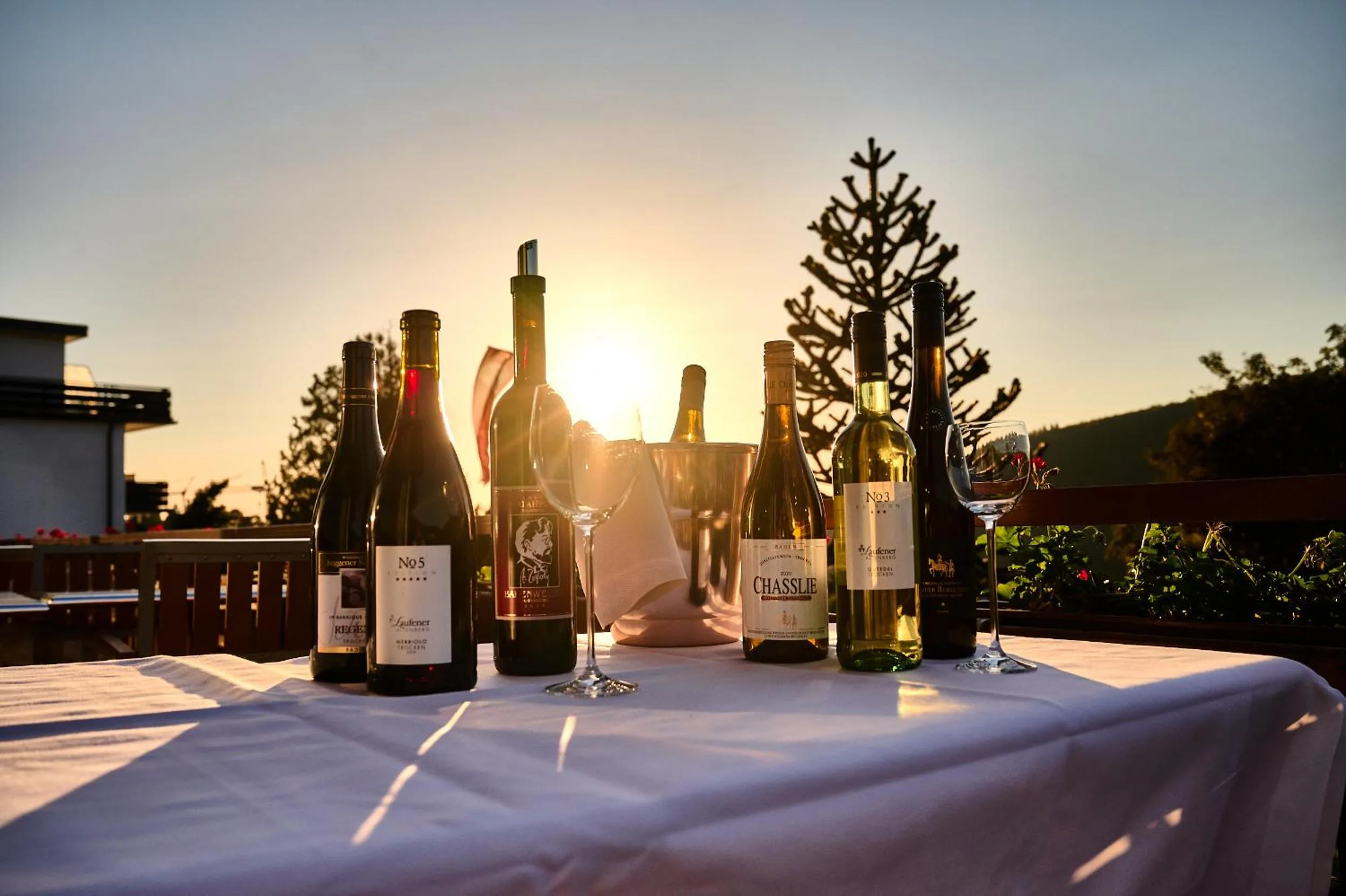 Balcony/Terrace in Hotel Neuenfels