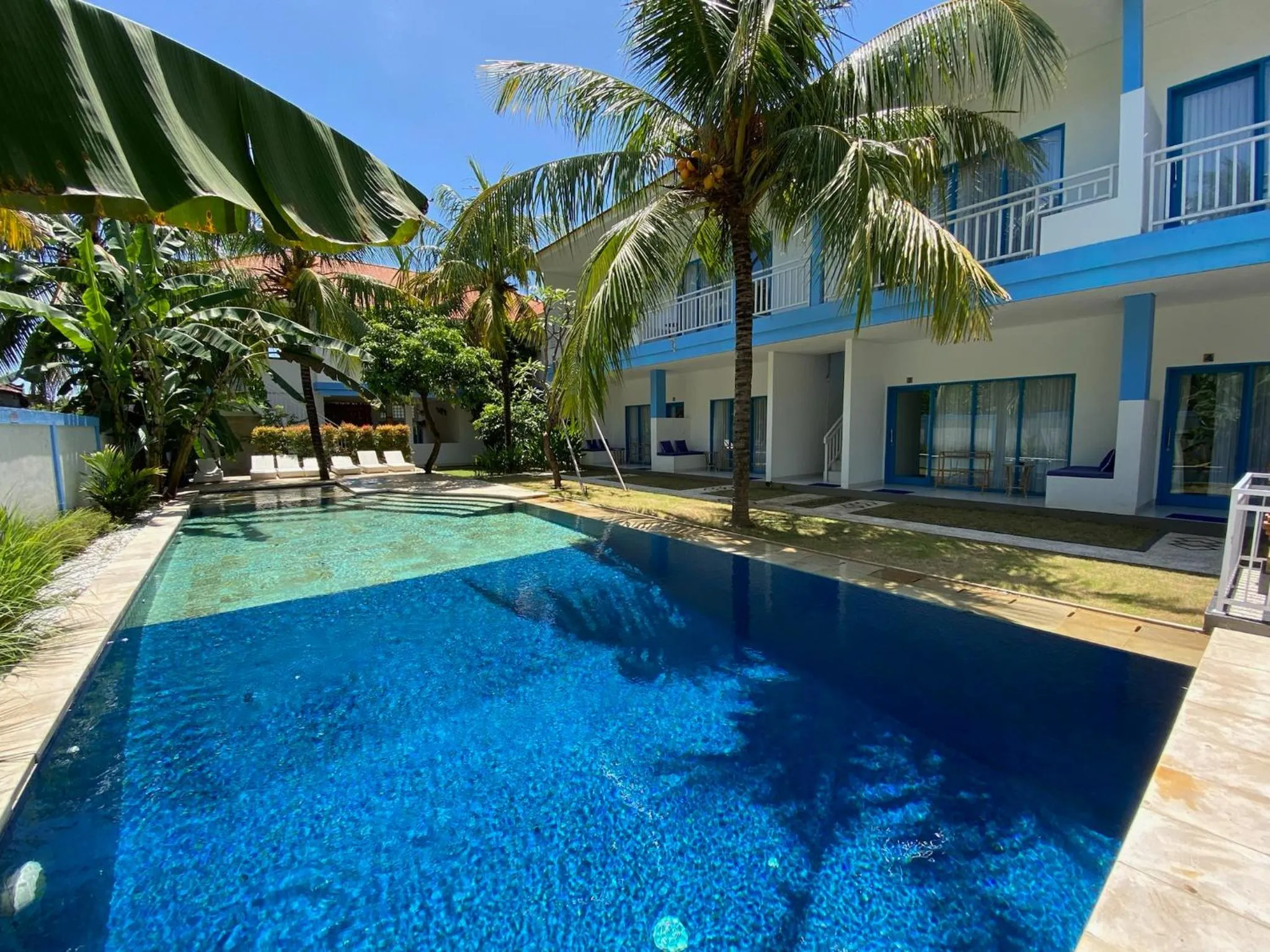 Garden in Kura Kura Divers Lodge