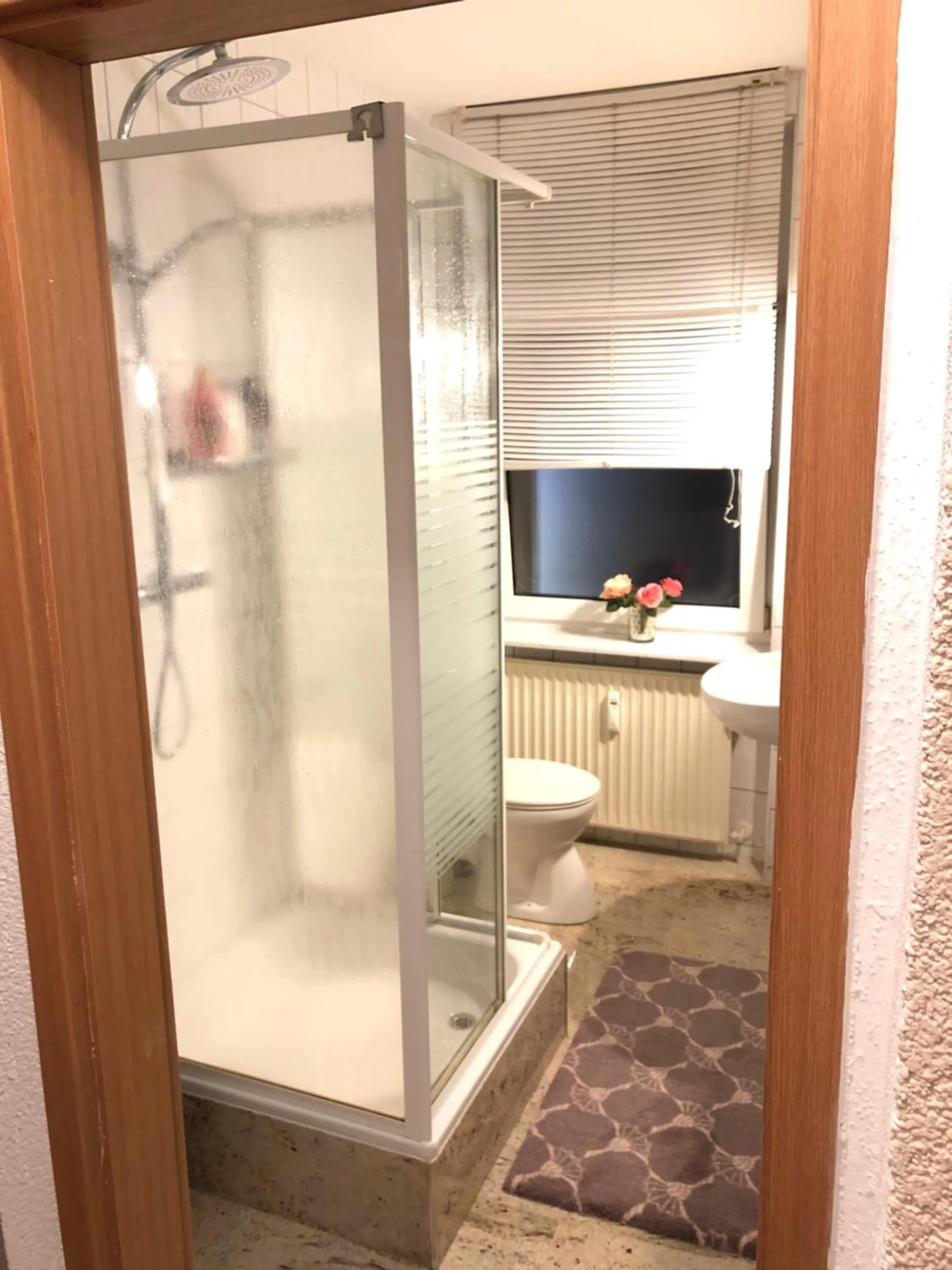 Shower in Pension Goldenes Vogtland