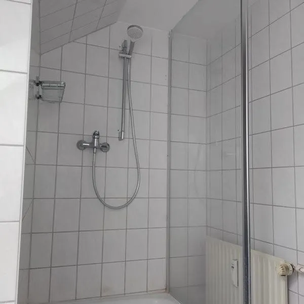 Shower in Pension Goldenes Vogtland