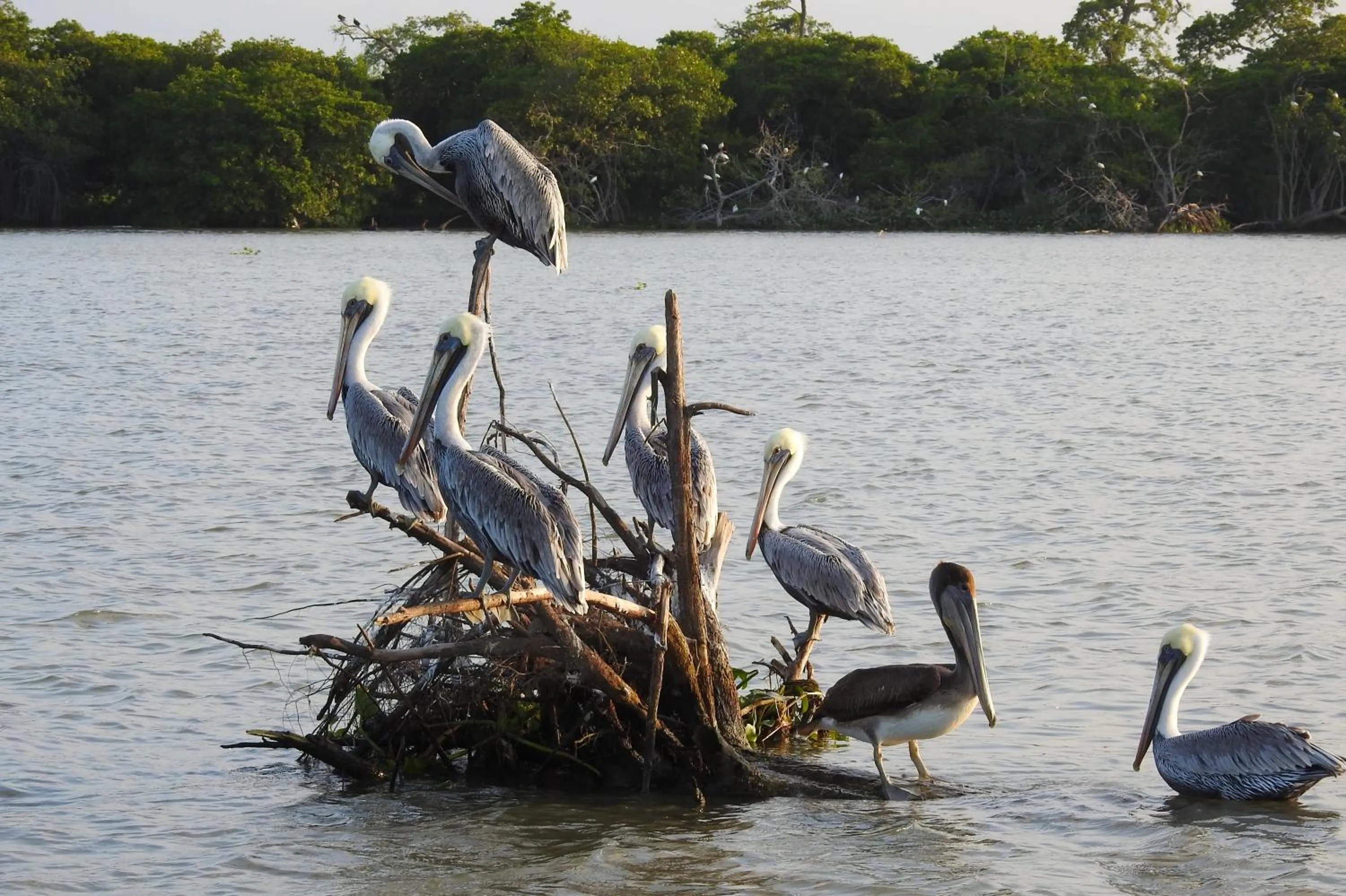 Don Luis Hostal - Sucursal Hidalgo - Tecolutla
