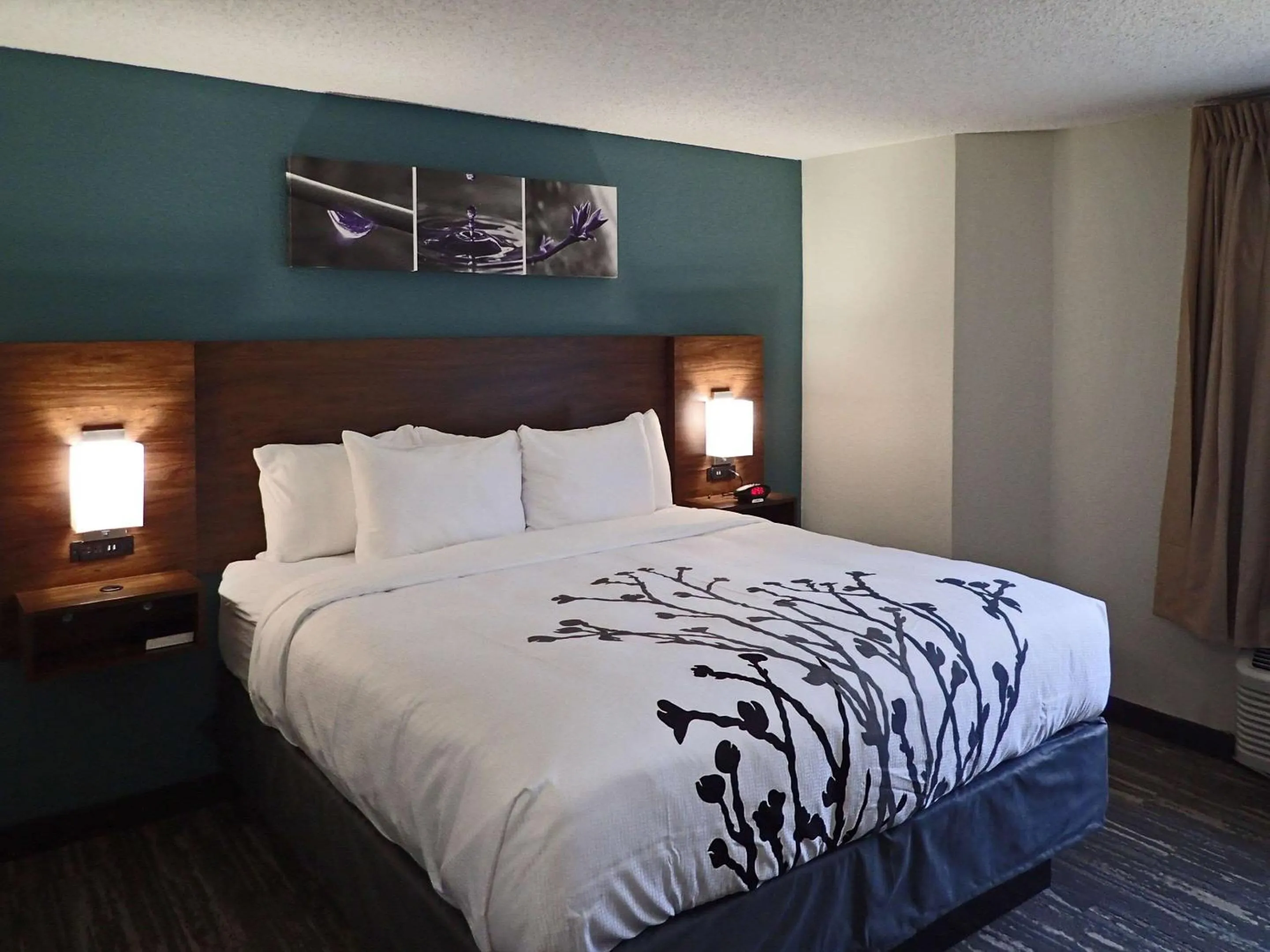 Bedroom, Bed in Sleep Inn & Suites California MD