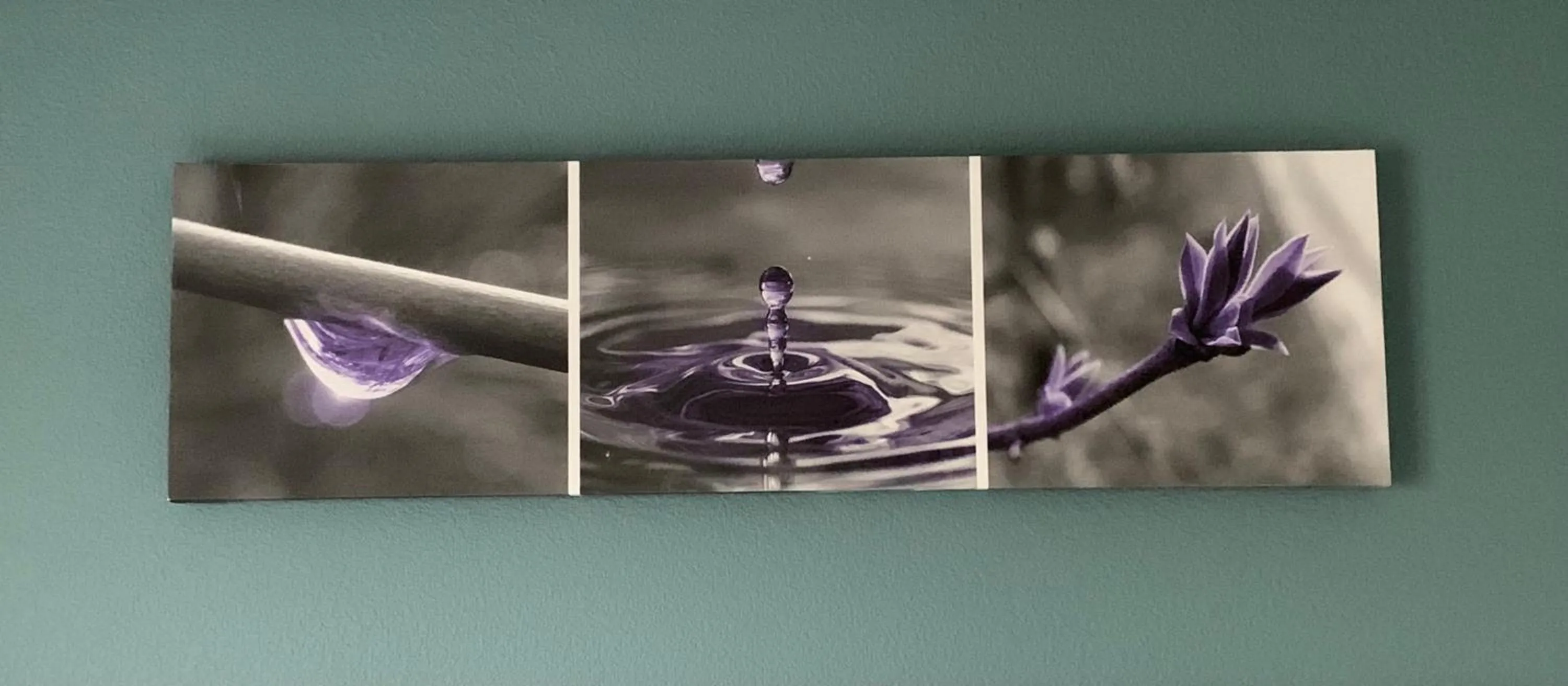 Guests in Sleep Inn & Suites California MD