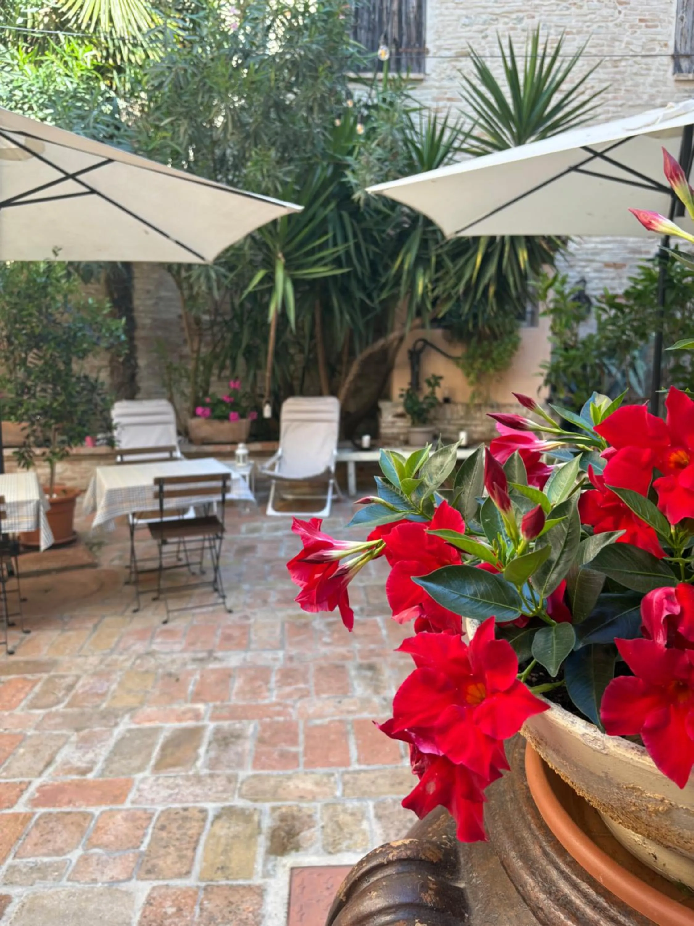 Garden view in Relais B&B Corte Dei Turchi