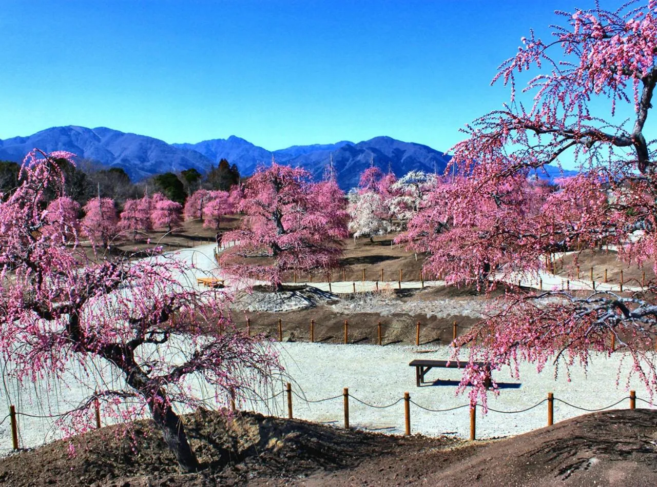 Nearby landmark in Hotel Trend Suzuka