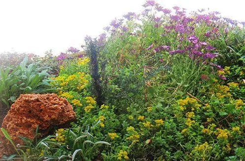 Garden in Hotel Pithari