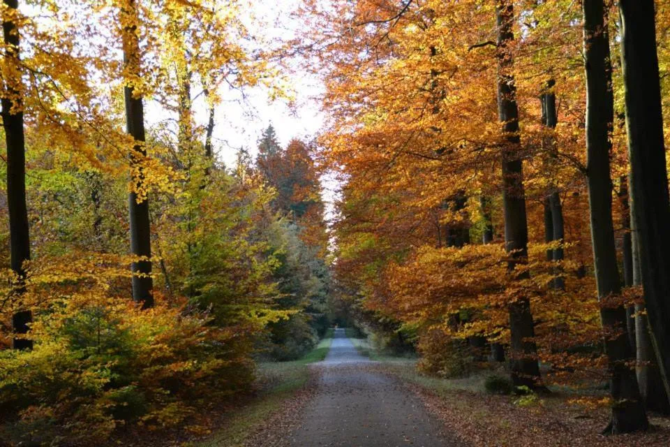 Hotel zum Buchenberg