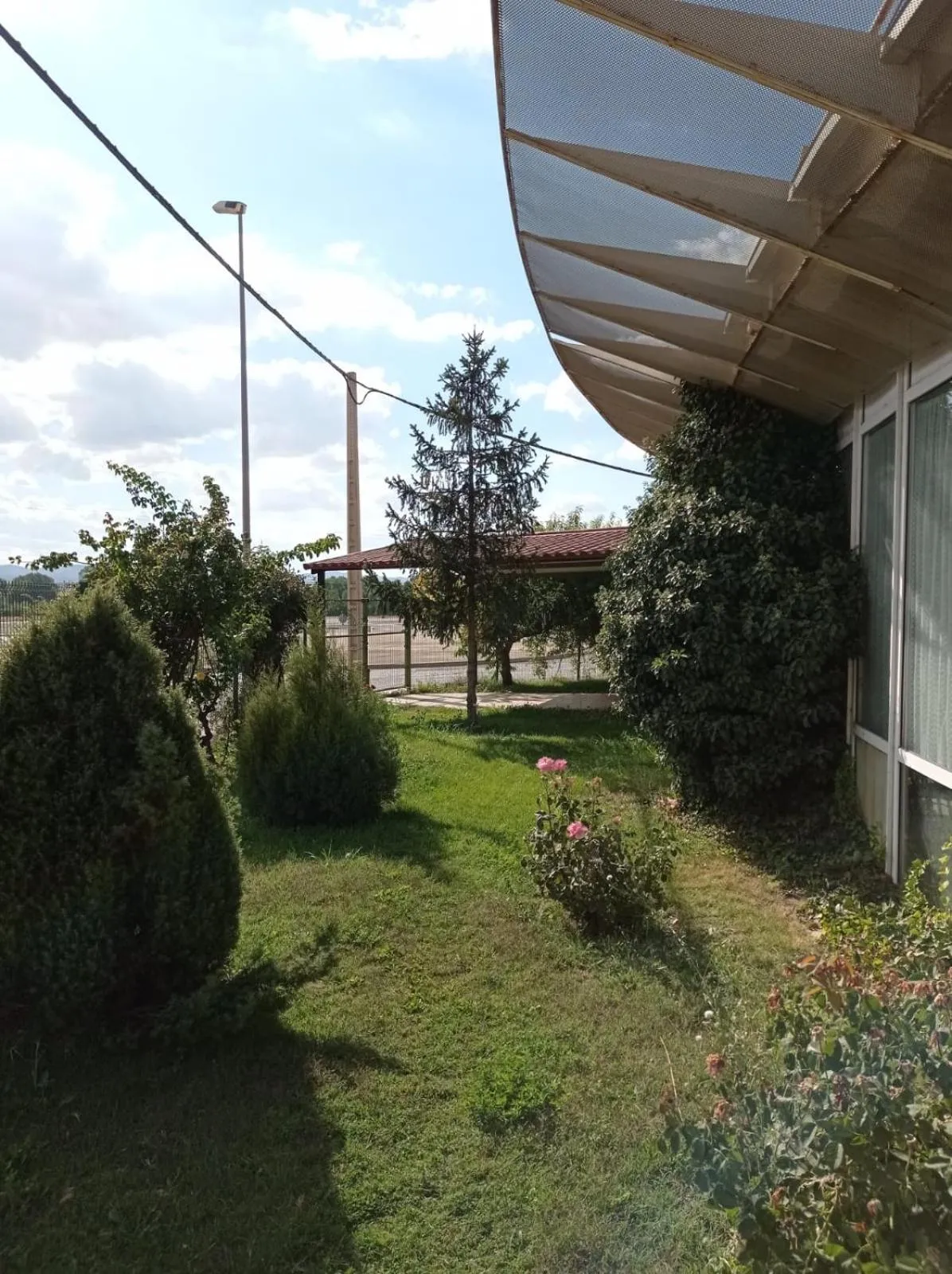 Garden in Hostal Brin