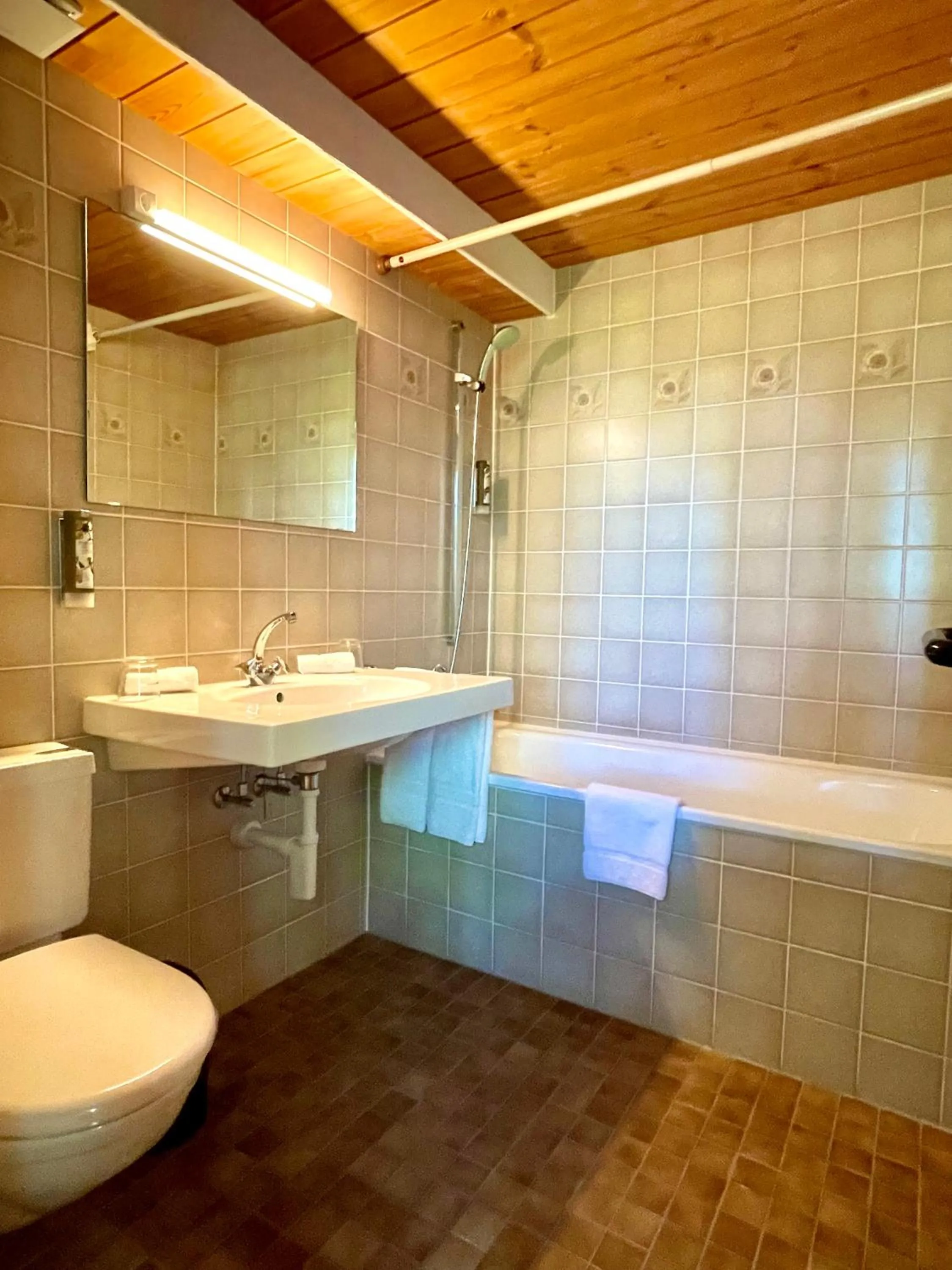 Bathroom in Alpenlodge Val Gronda