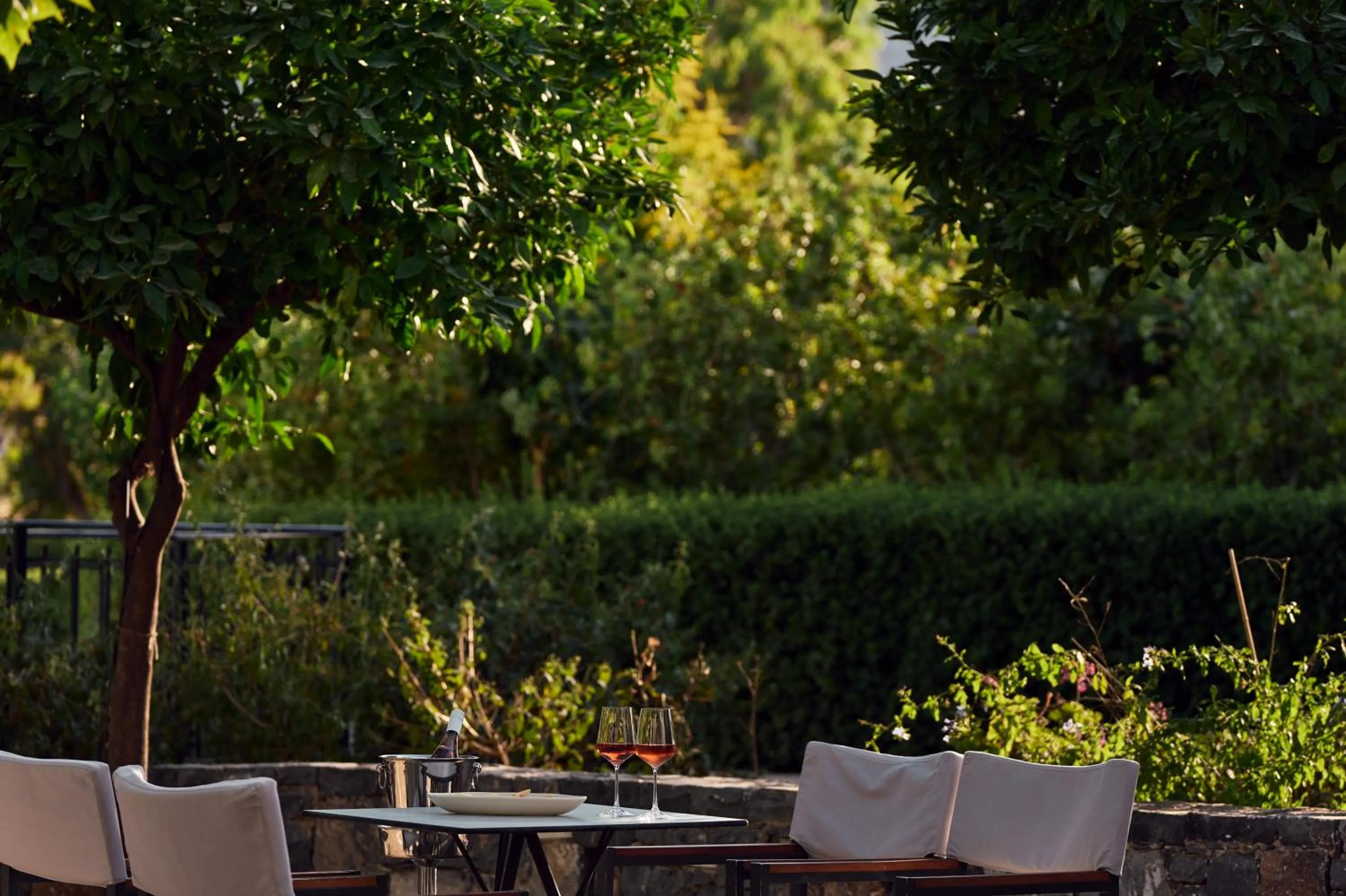 Restaurant/places to eat in Atlantica Akti Zeus Hotel