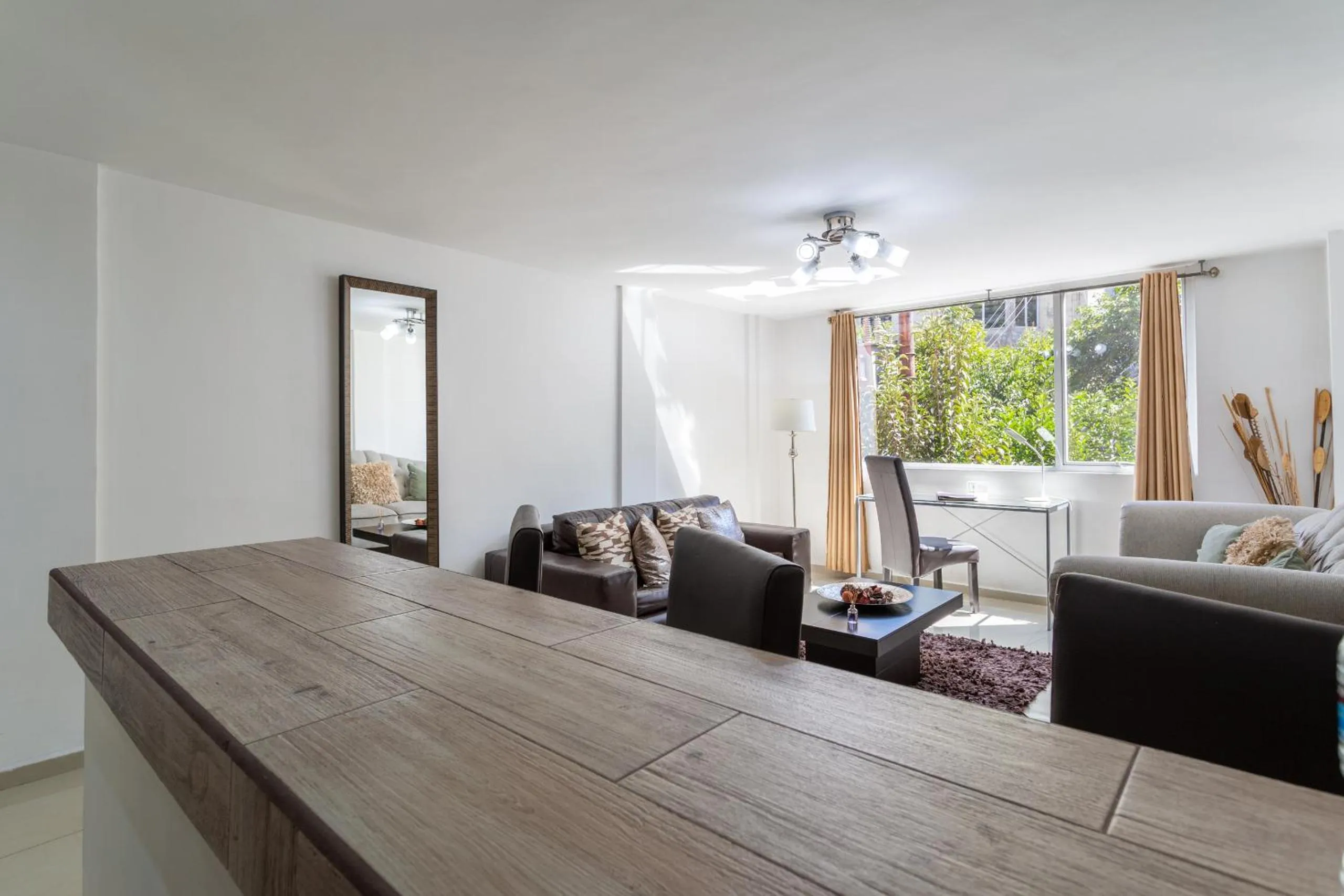 View (from property/room) in Suites 259 Condesa