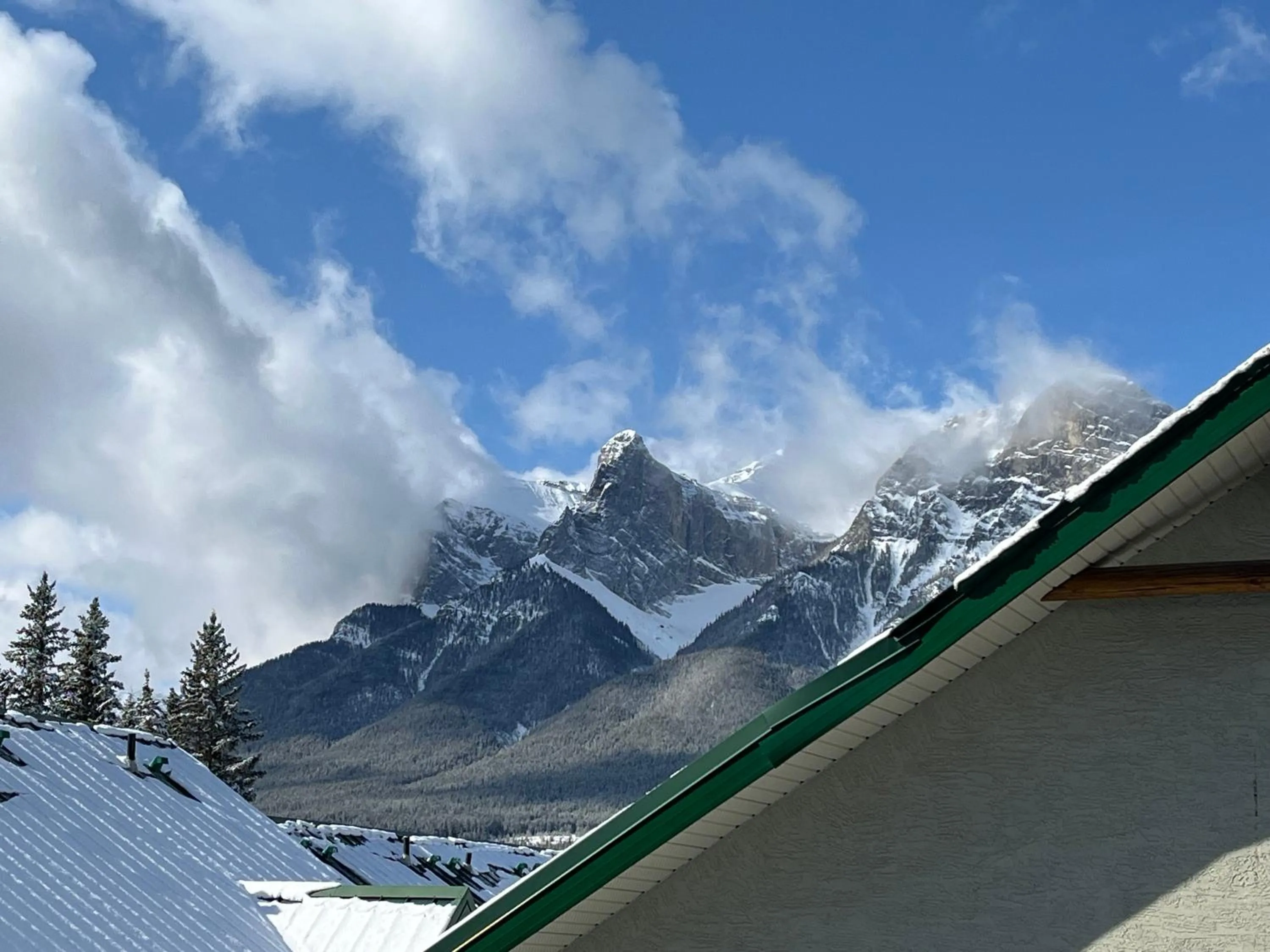 View (from property/room) in Banff Woods lodge