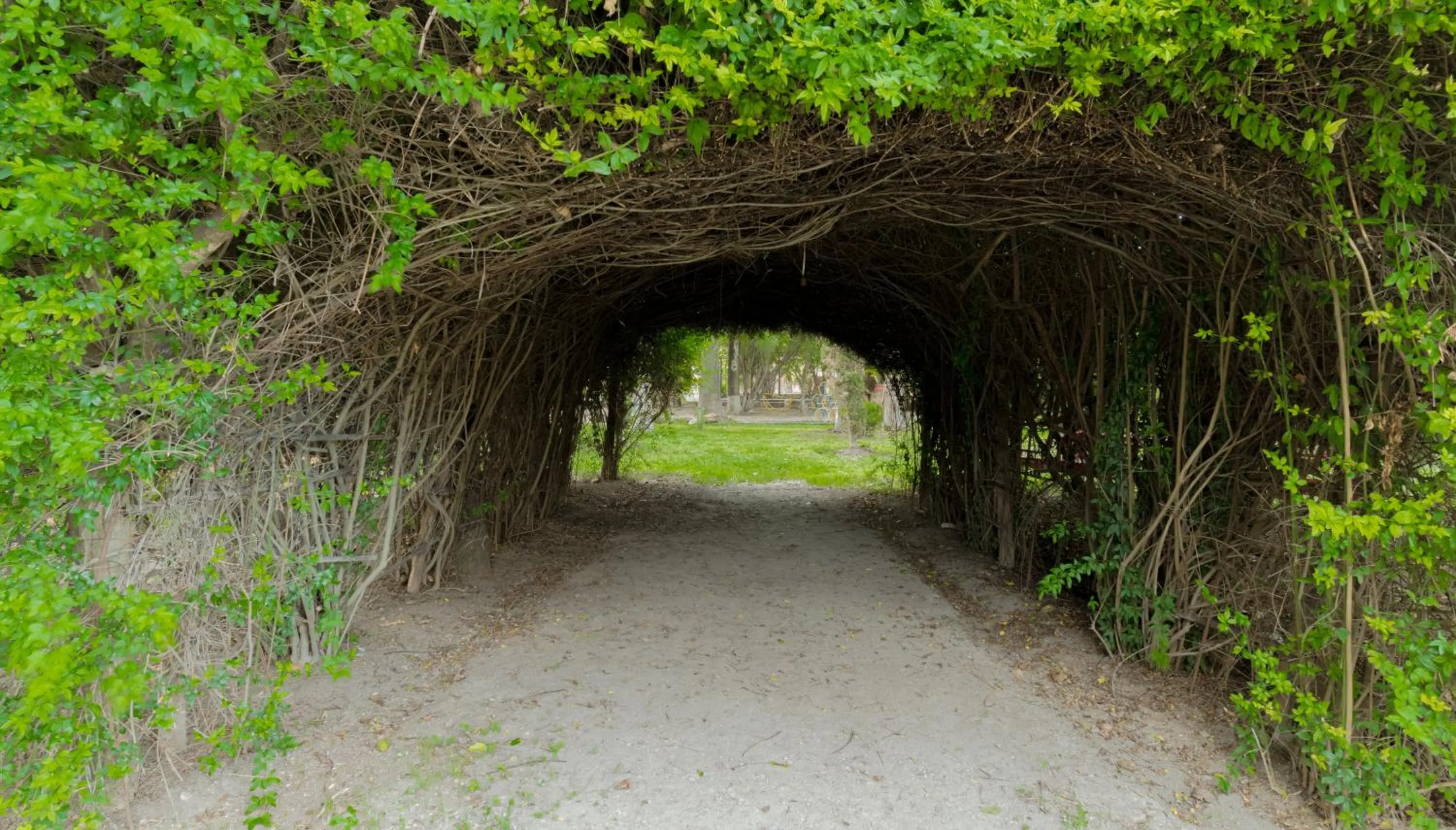 Garden in Atotonilco Hotel & Club
