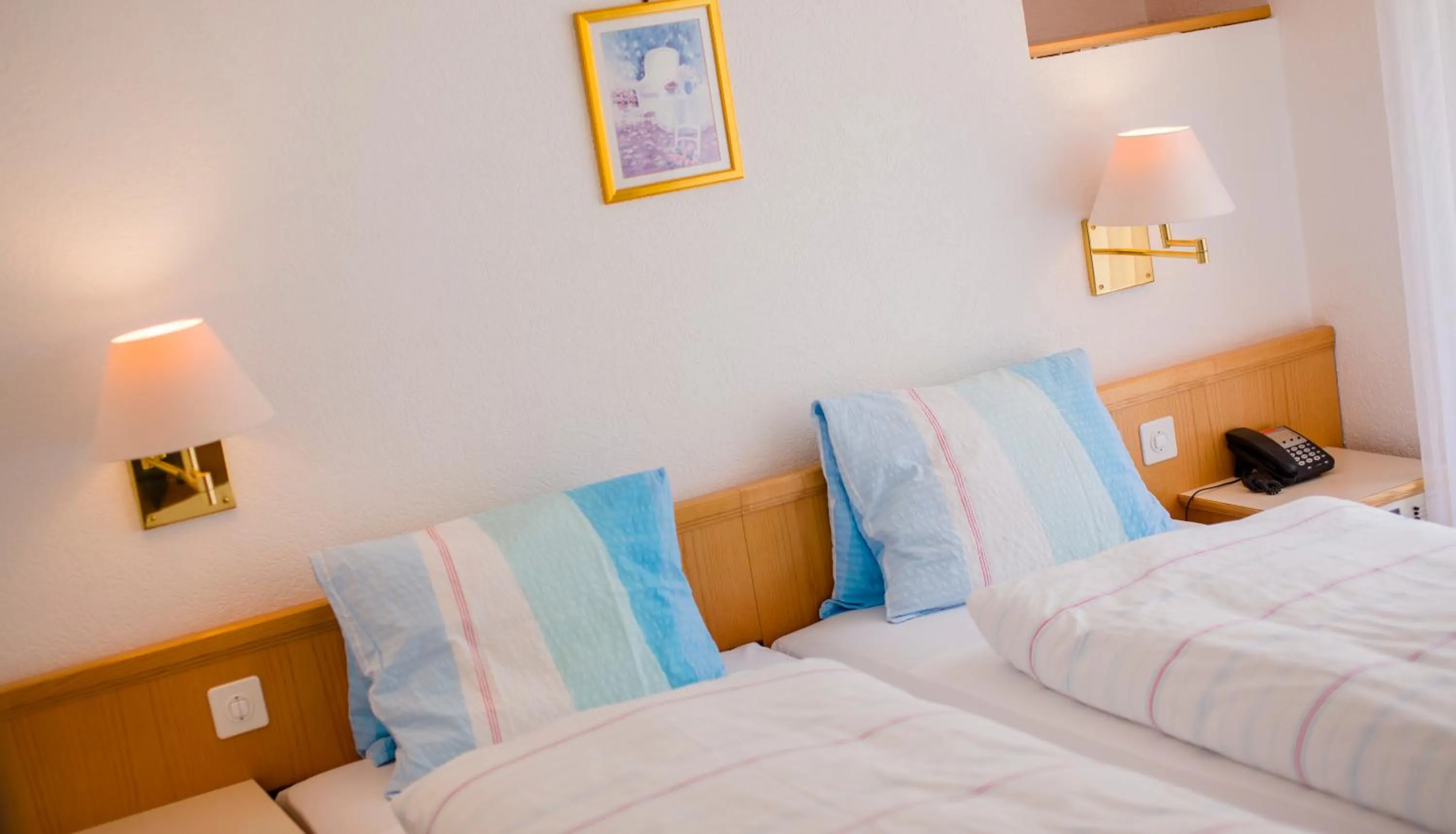 Double Room - single occupancy in Hotel Heilquelle-Leukerbad-Therme