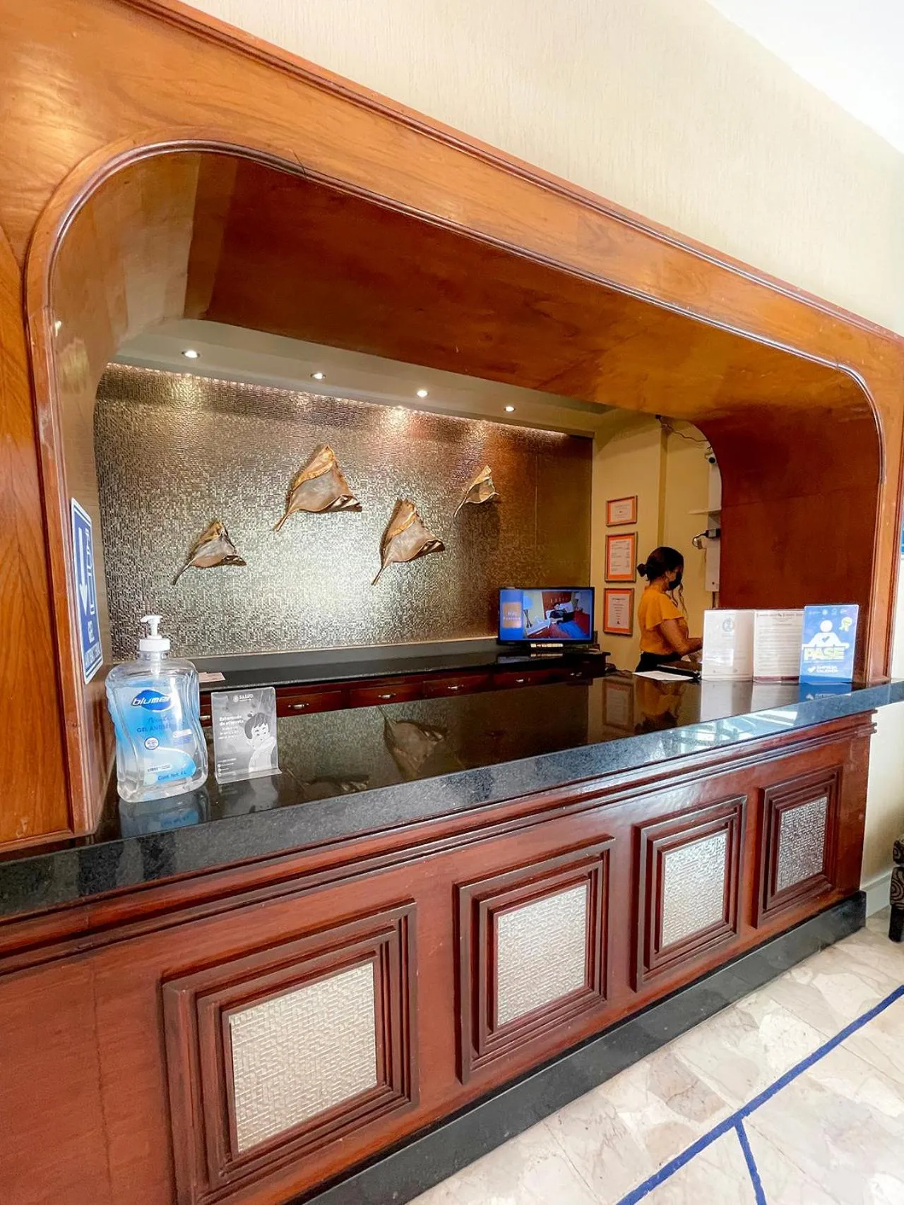 Hotel Fenix