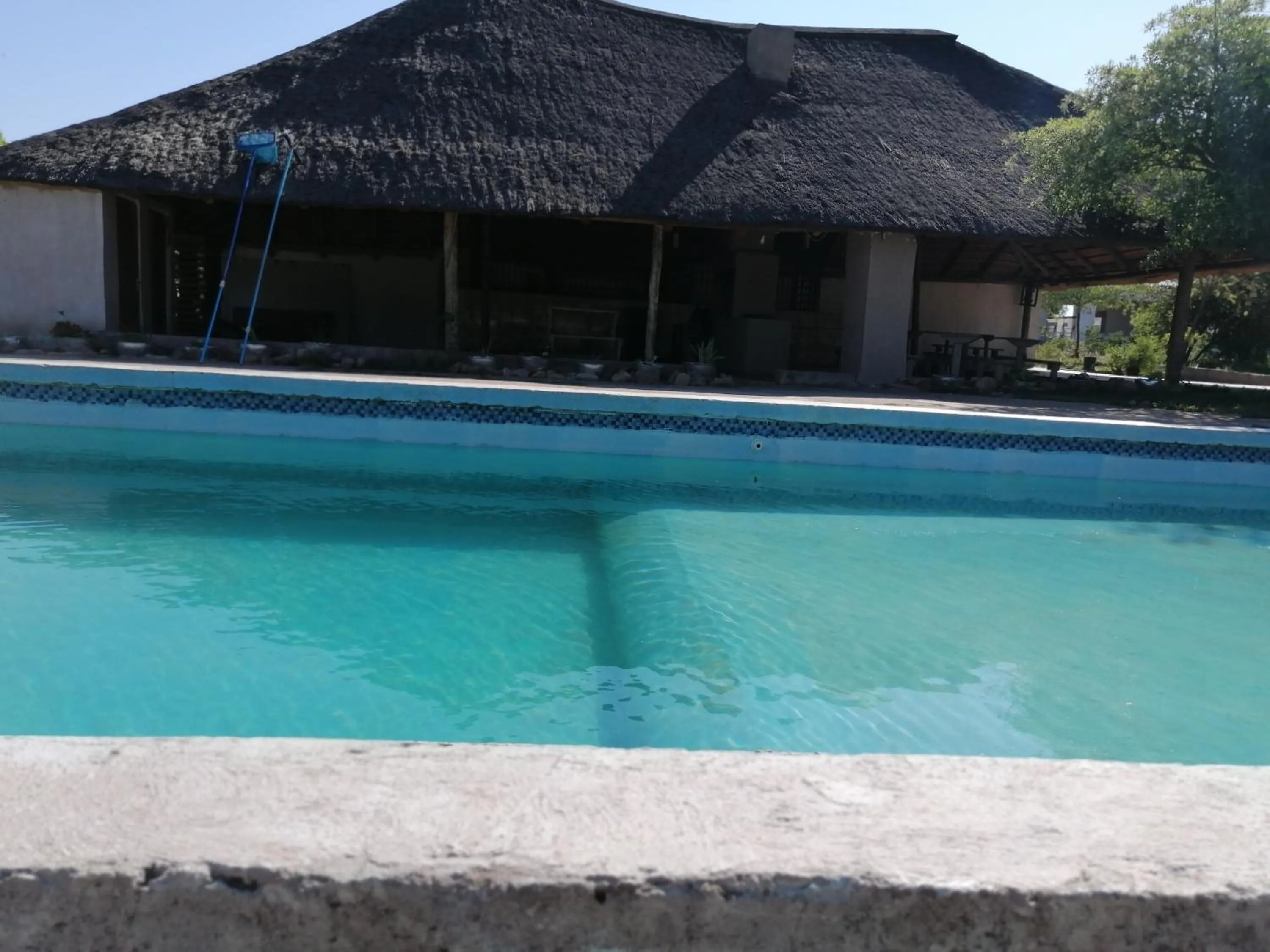 Moholoholo Lodge