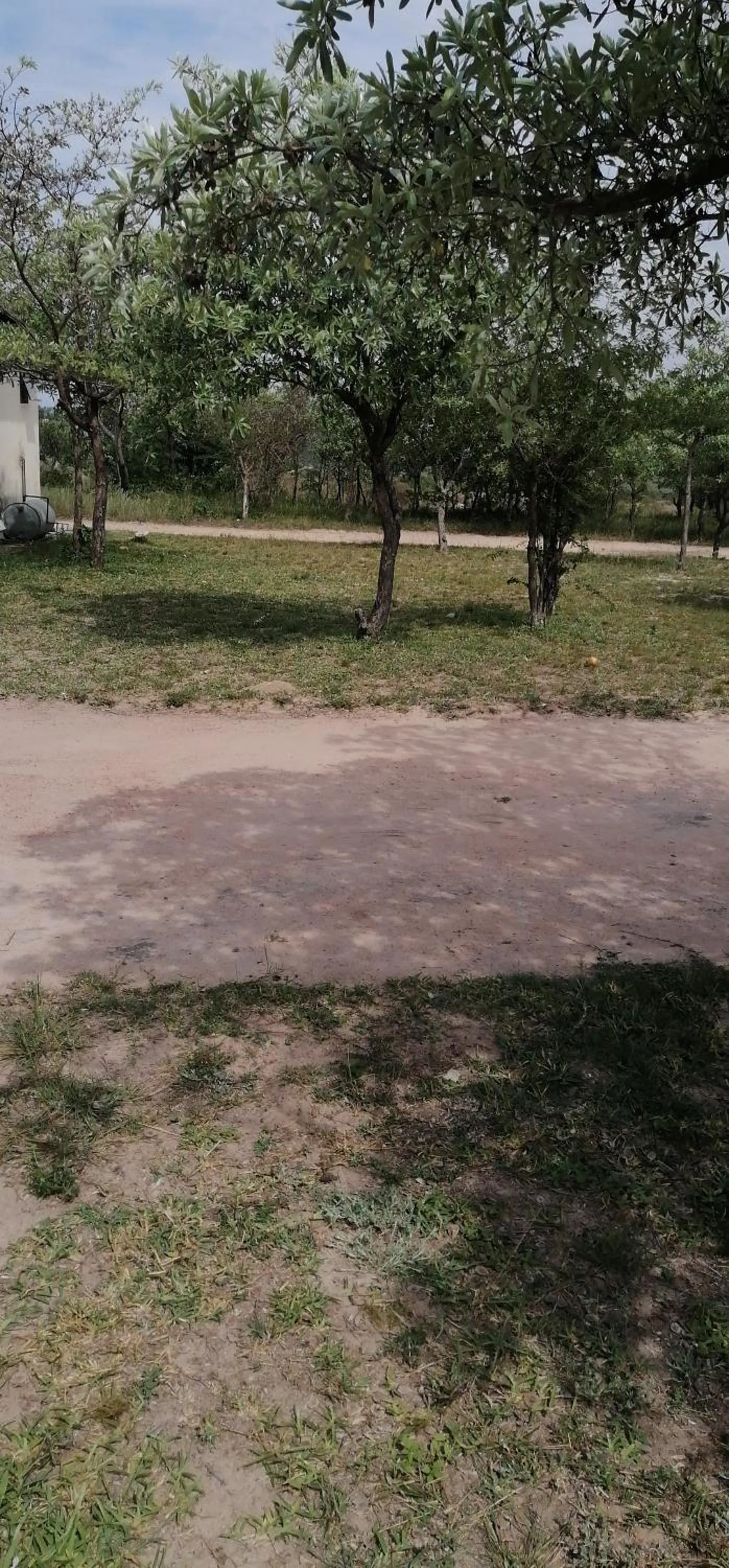 Moholoholo Lodge