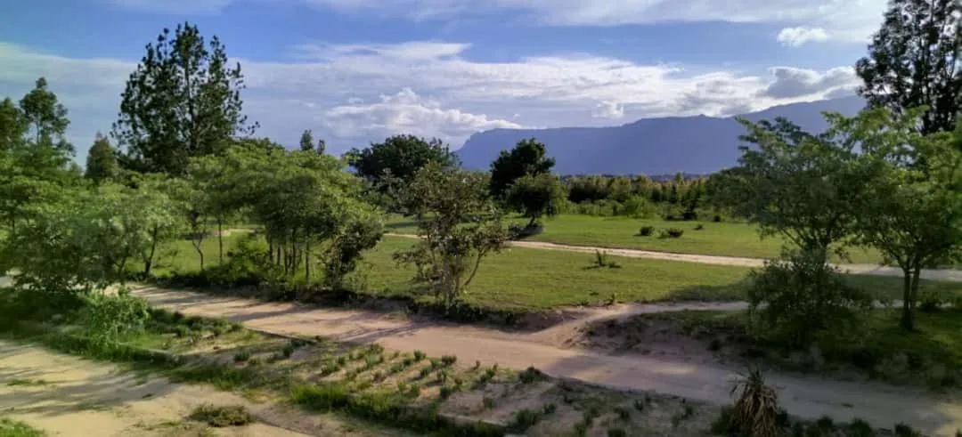 Moholoholo Lodge