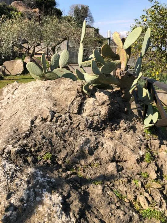 Property building in Villa Grandiosa FC