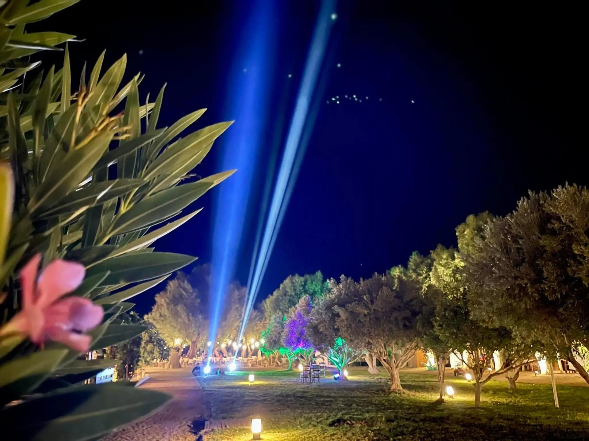 wedding in Eco Beach And Magic Garden Hotel