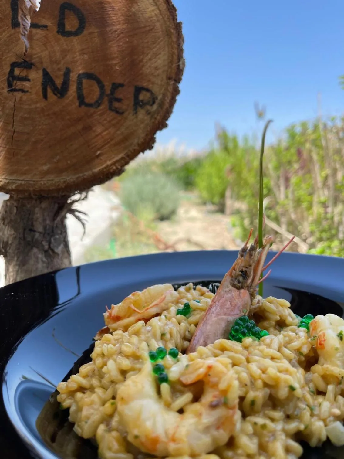 Restaurant/places to eat in Eco Beach And Magic Garden Hotel