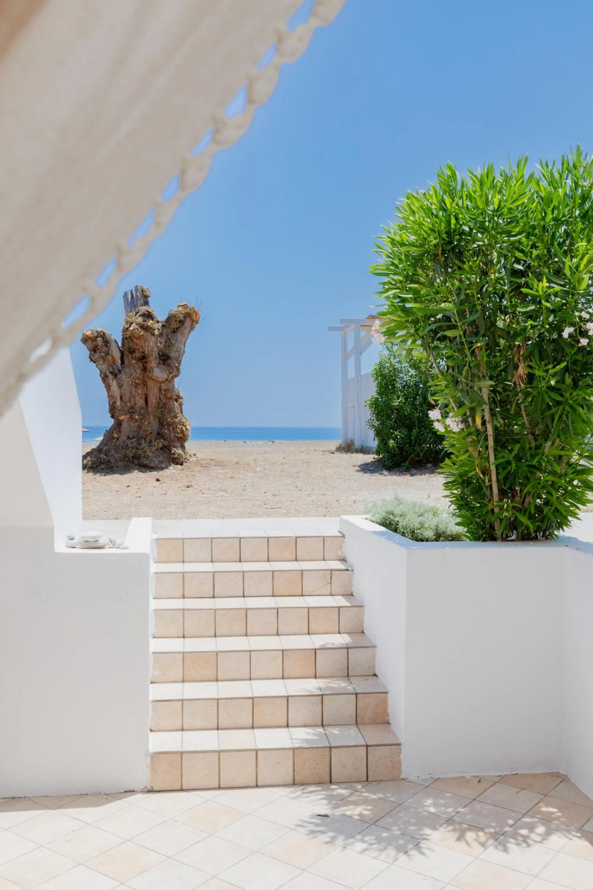 Eco Beach And Magic Garden Hotel