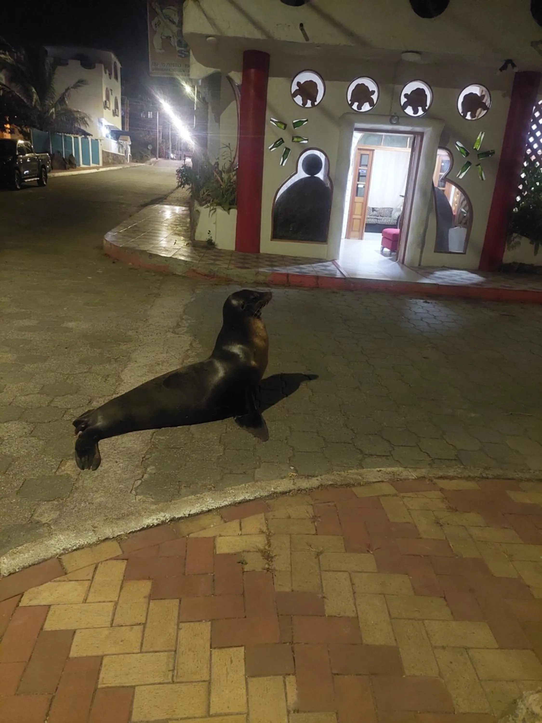 Royal Galápagos Inn