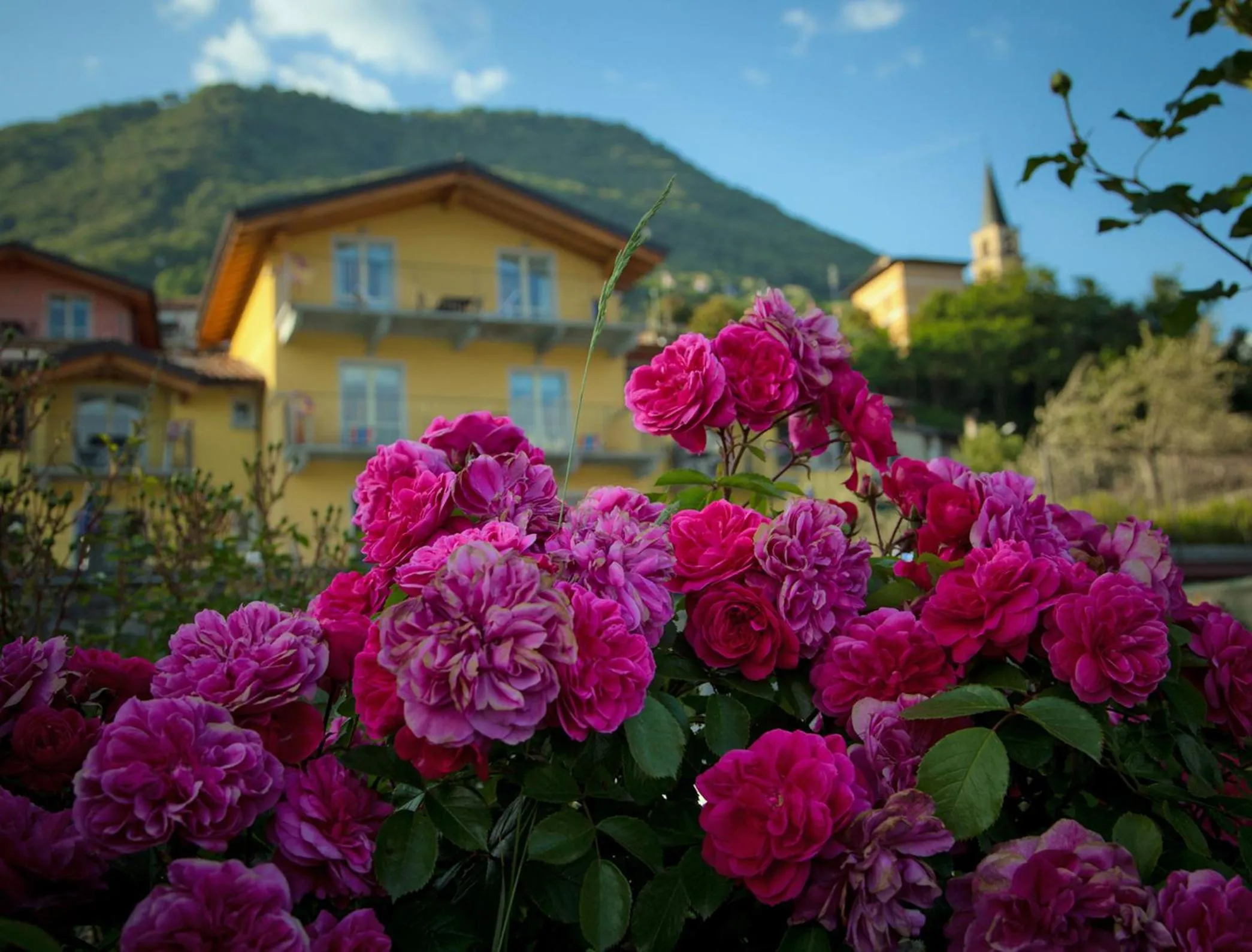 Facade/entrance in Residence La Collina