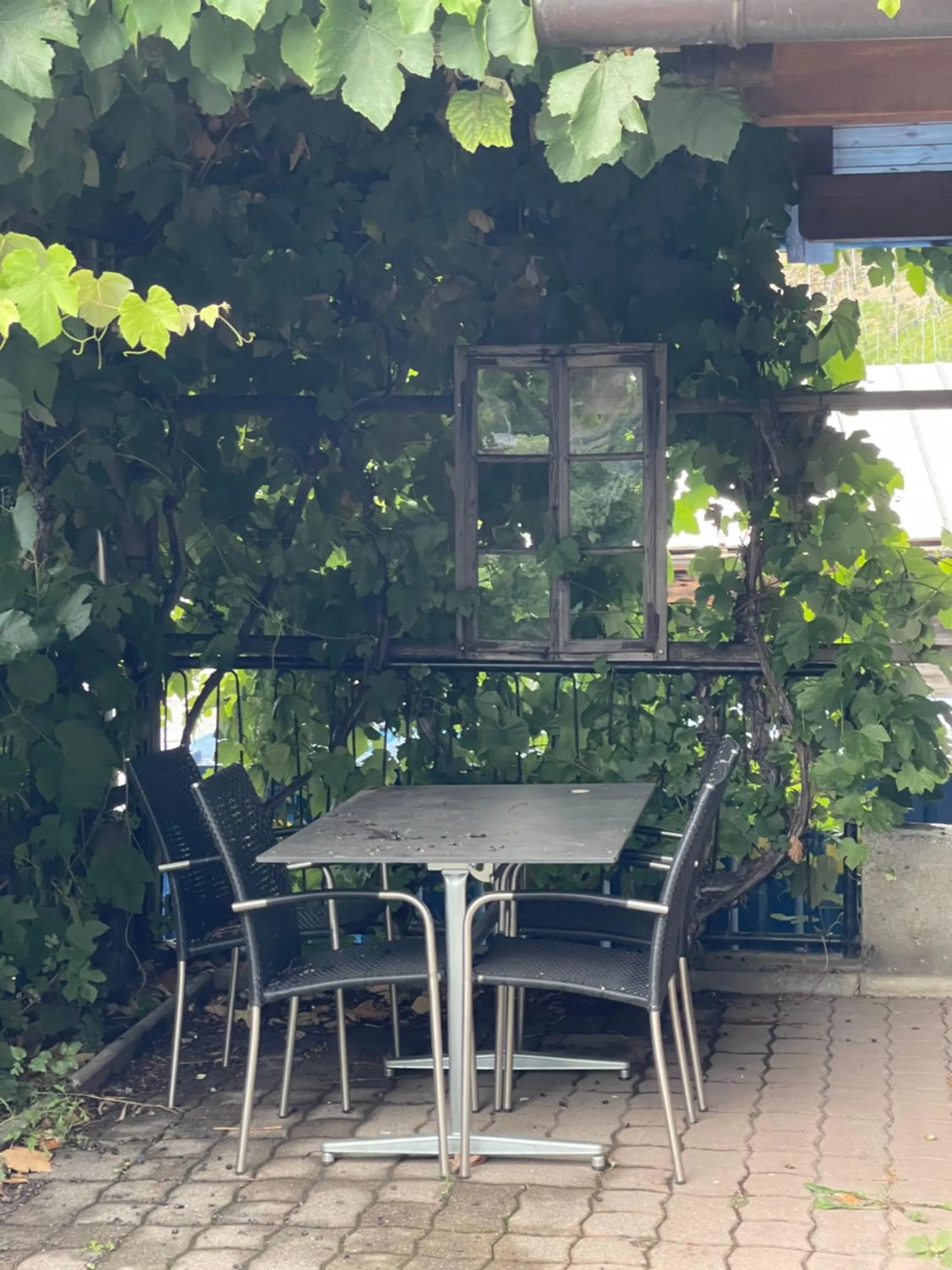 Garden in VISP erblick H O T E L AUSSERBERG Early & Late Check-in