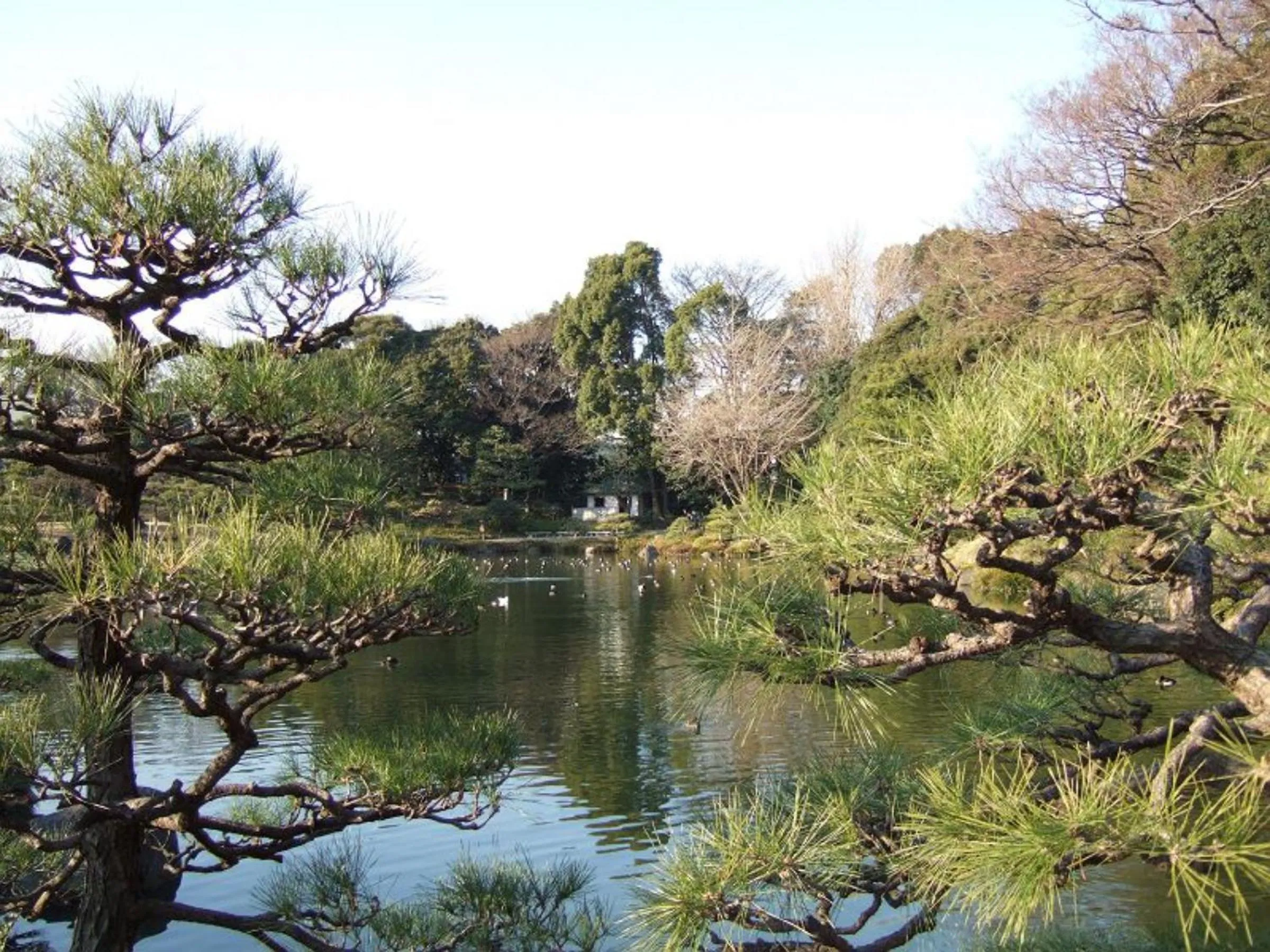 Nearby landmark in Prime Suites Tokyo