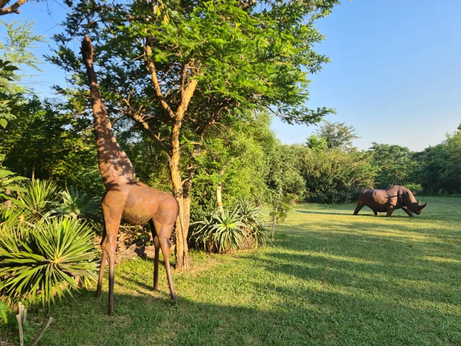 Garden in Aquanzi Lodge