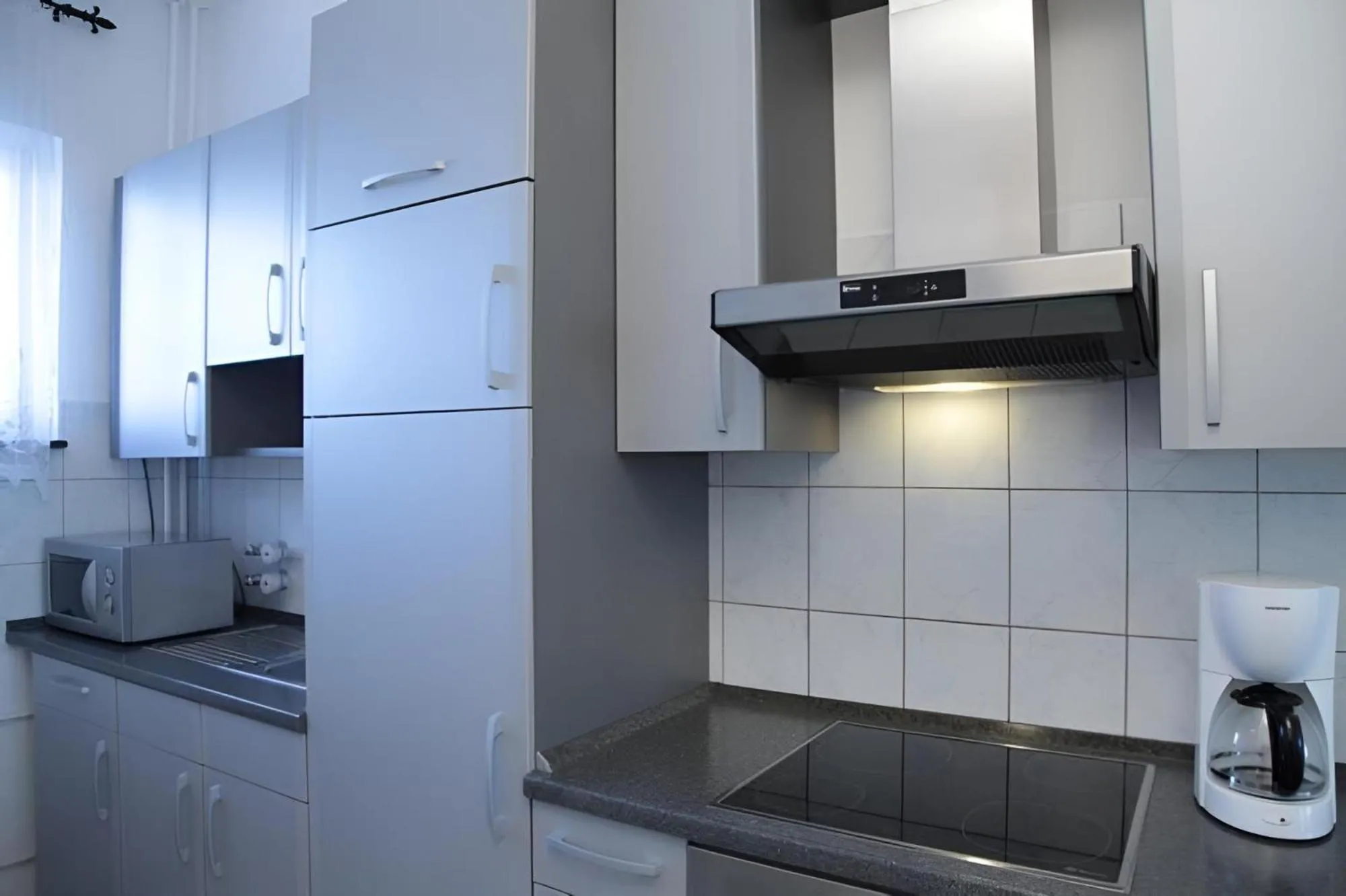 Kitchen or kitchenette in Aparthotel VEGA