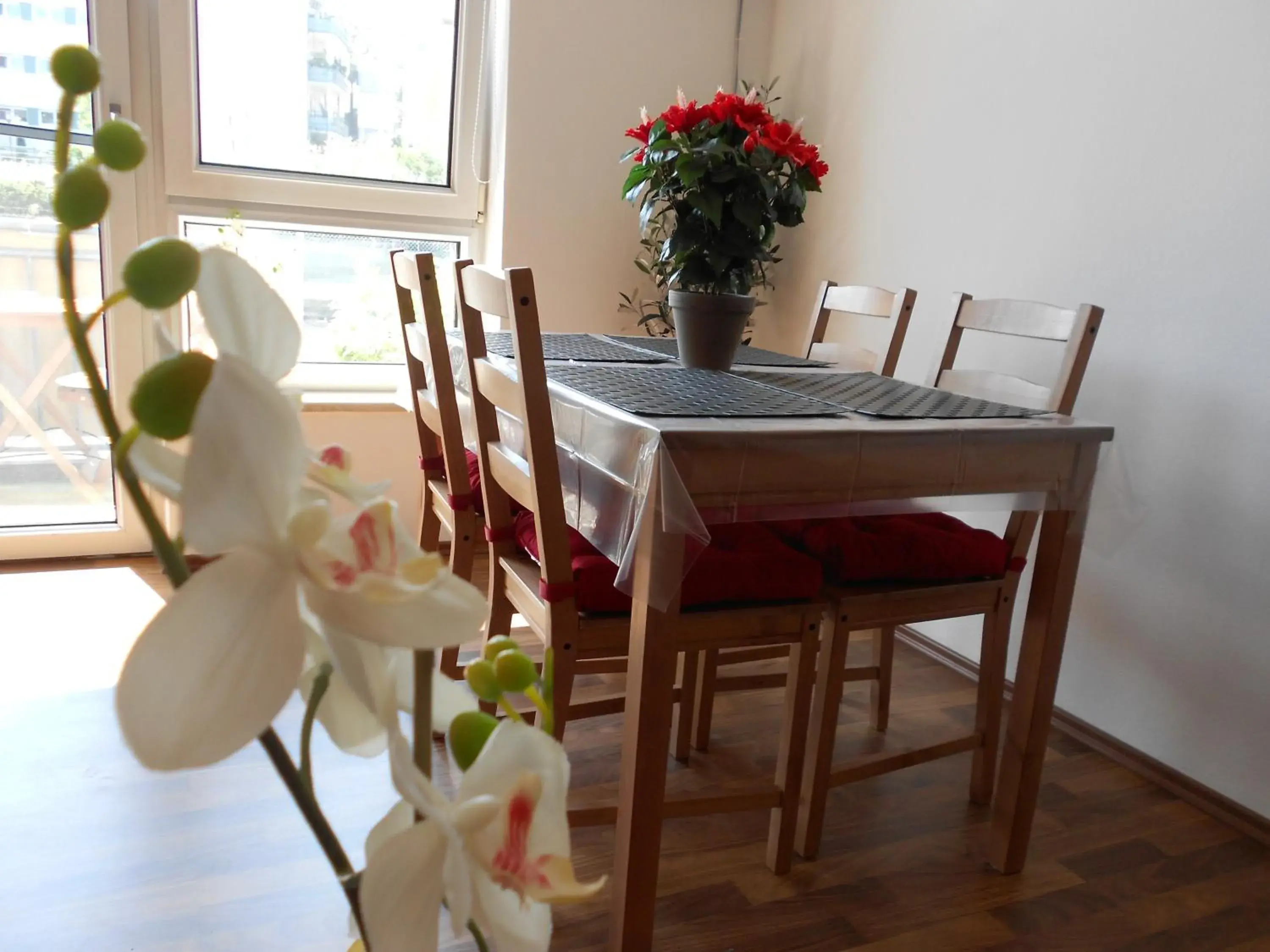 Studio - single occupancy in Apartment Beethoven Studio - single occupancy in Apartment Beethoven
