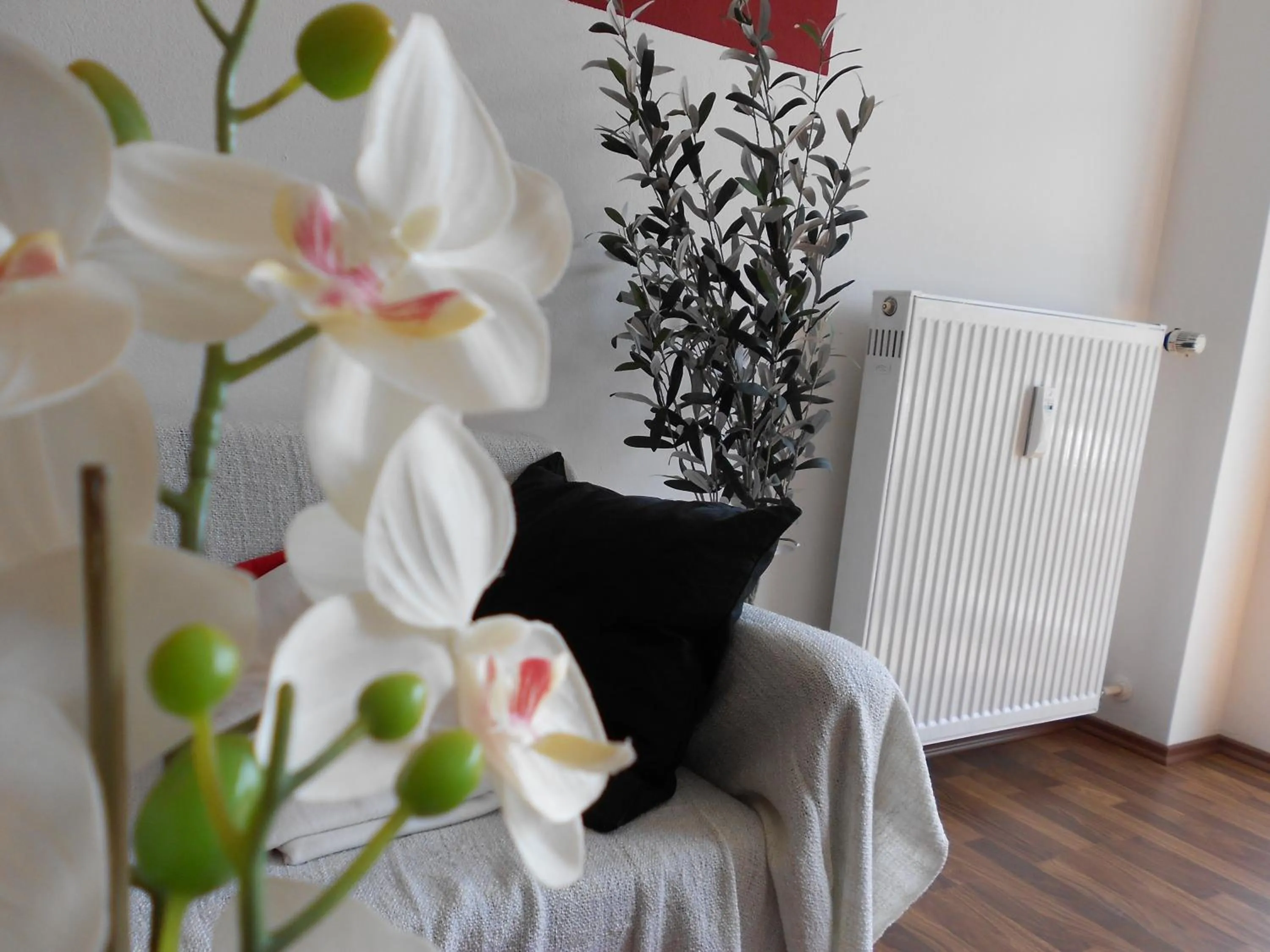 Living room in Apartment Beethoven