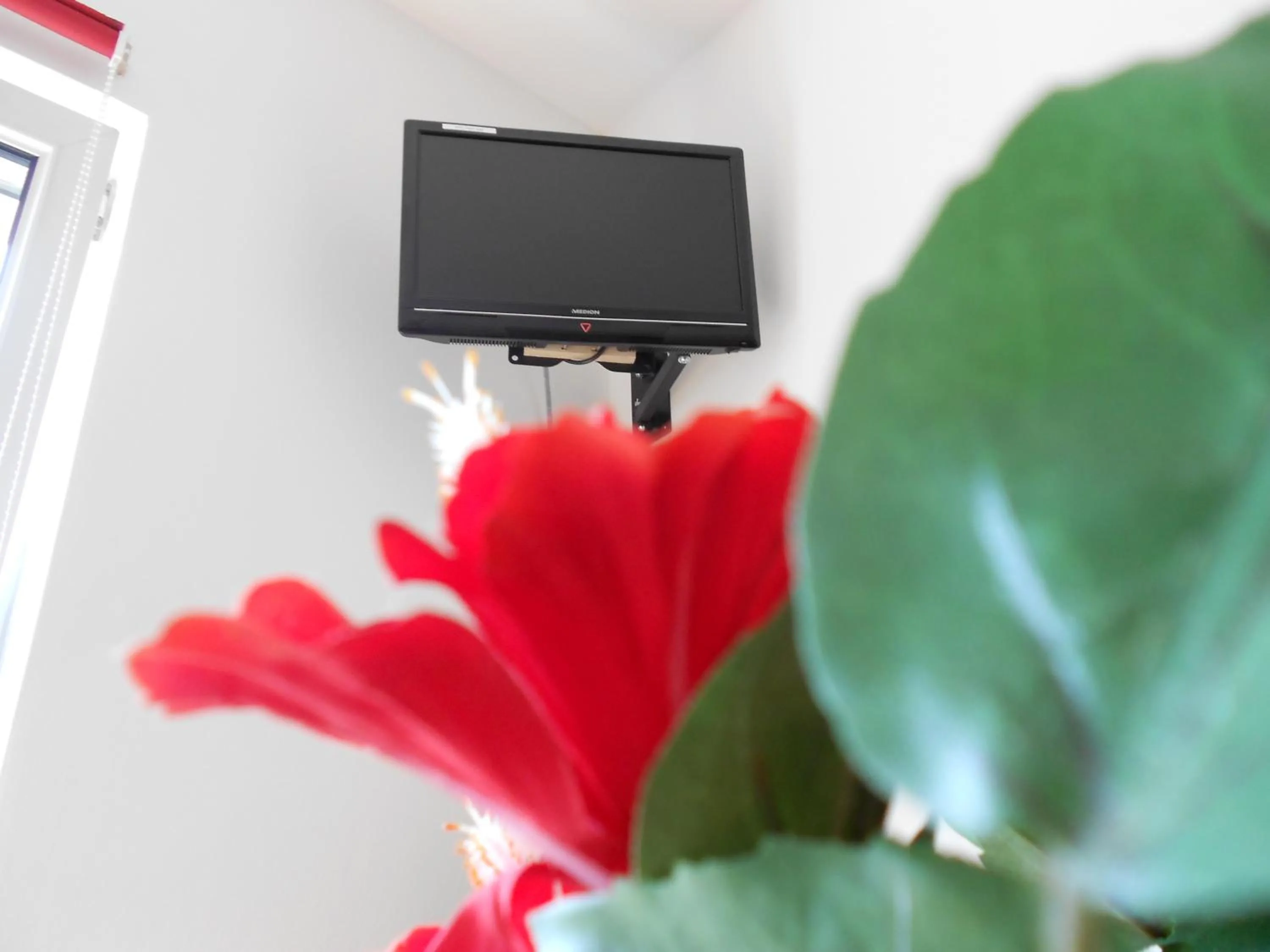TV and multimedia in Apartment Beethoven