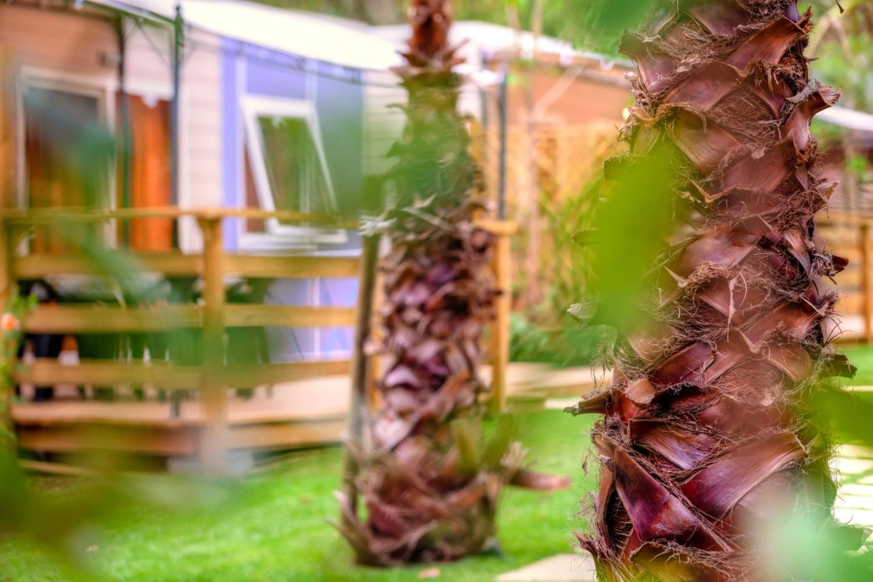 Photo of the whole room in Delle Rose Camping & Glamping Village