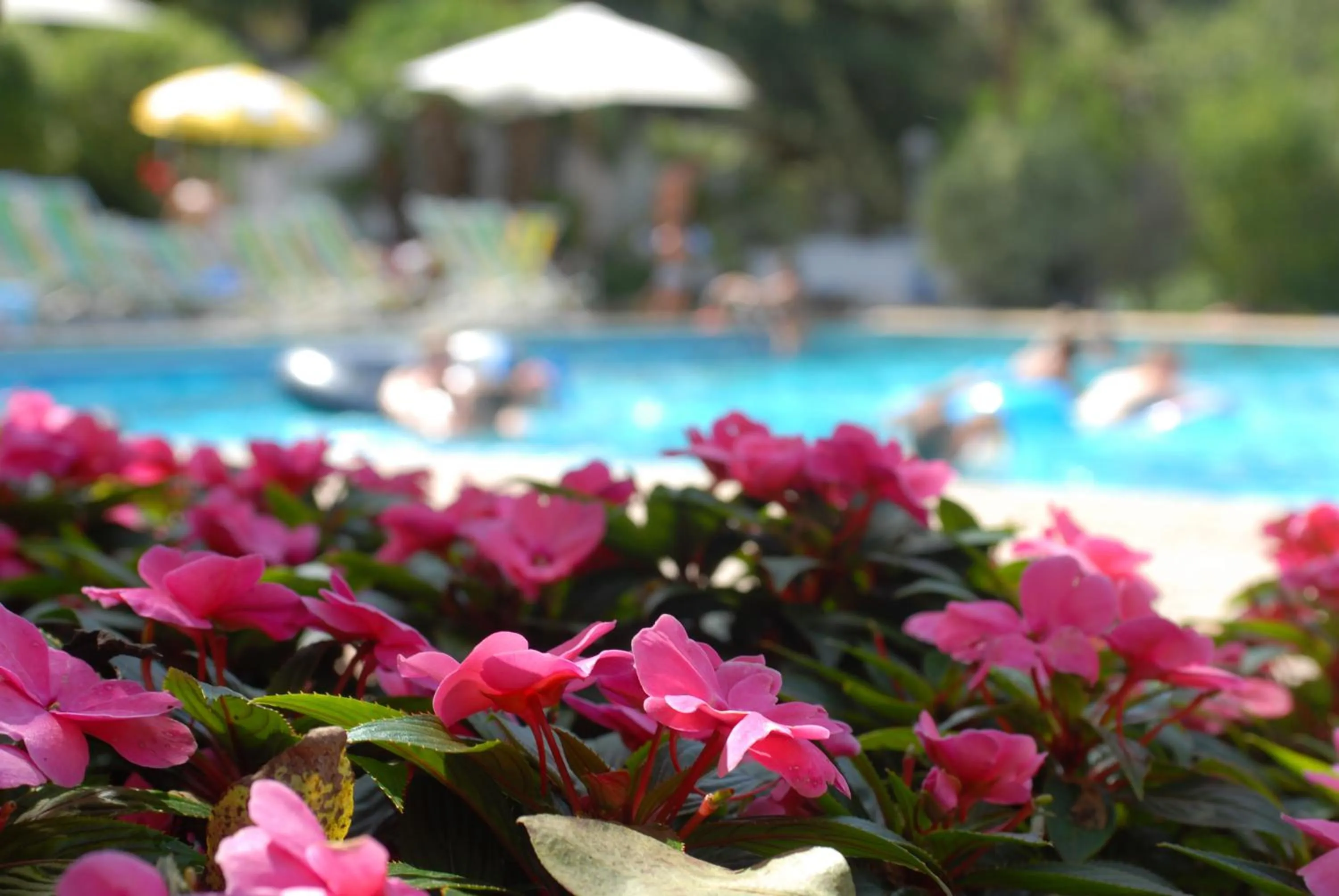 Pool view in Delle Rose Camping & Glamping Village