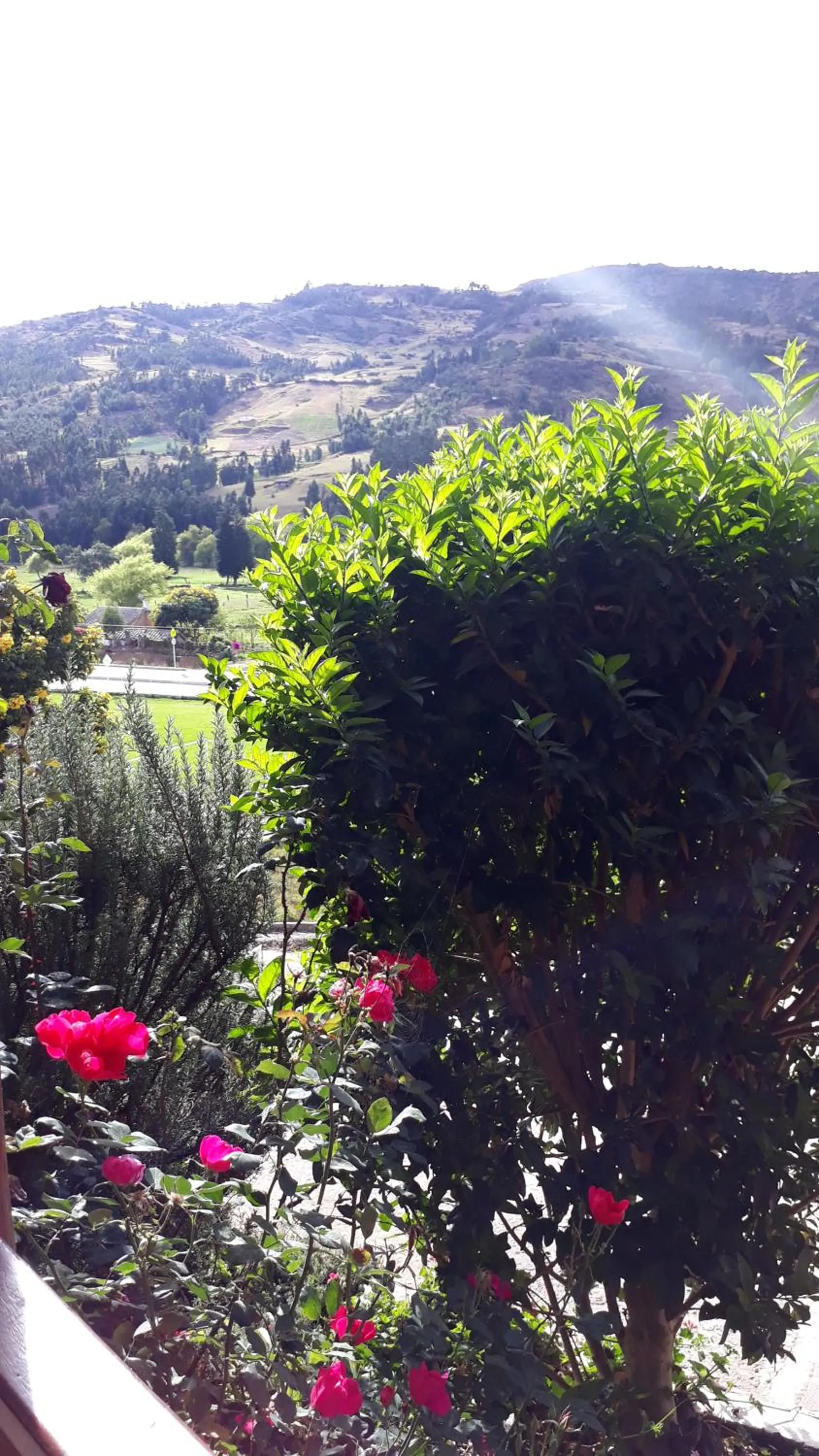 Posada el portal de la Loma