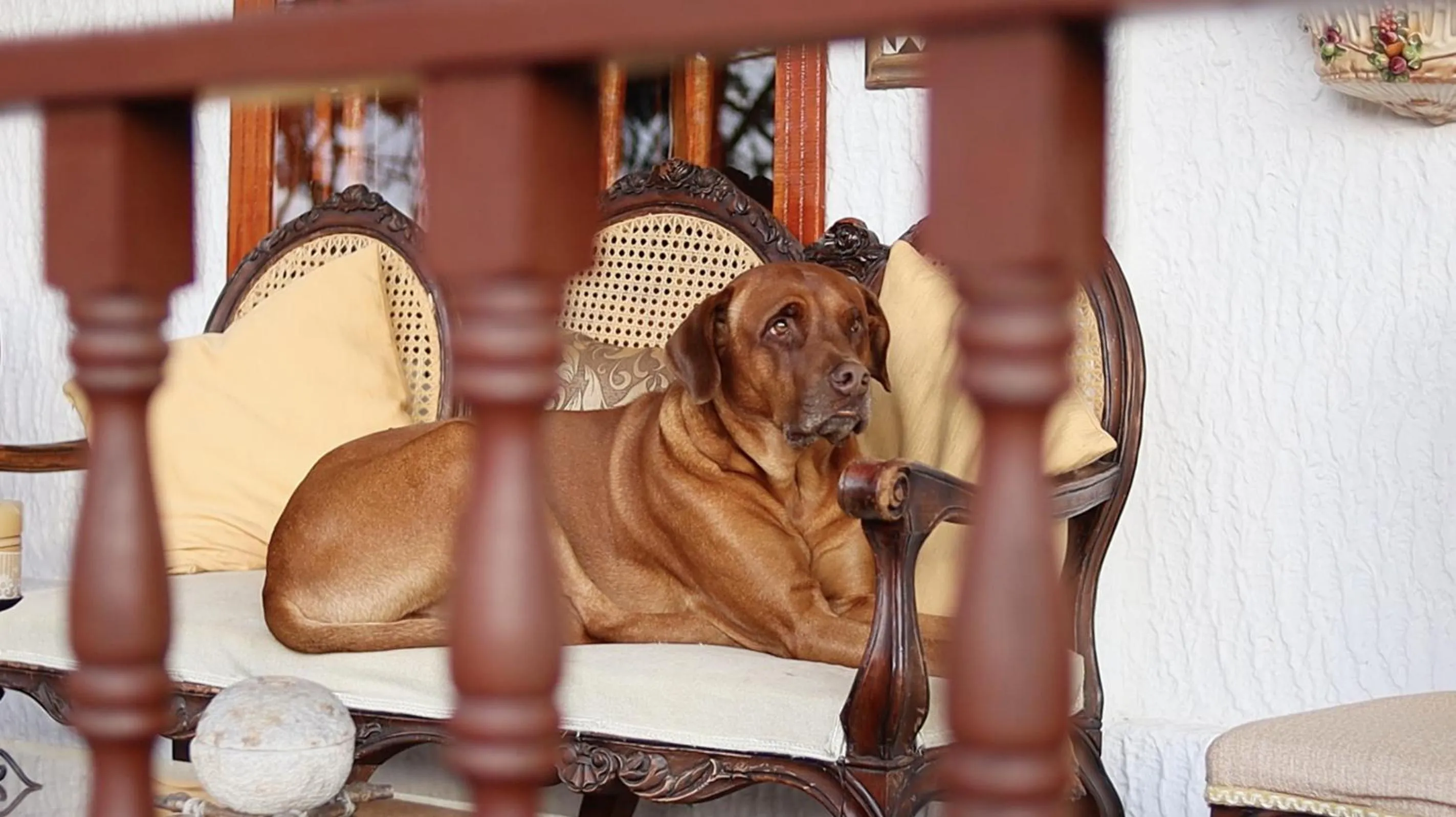 Posada el portal de la Loma