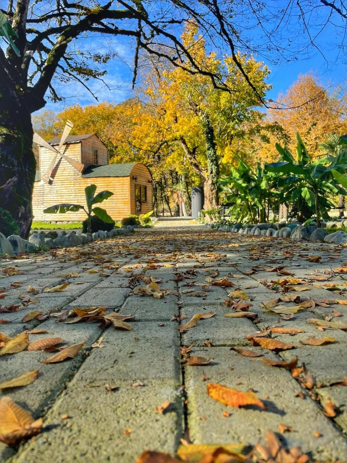 Autumn in Wald Hotel Lagodekhi Rooms