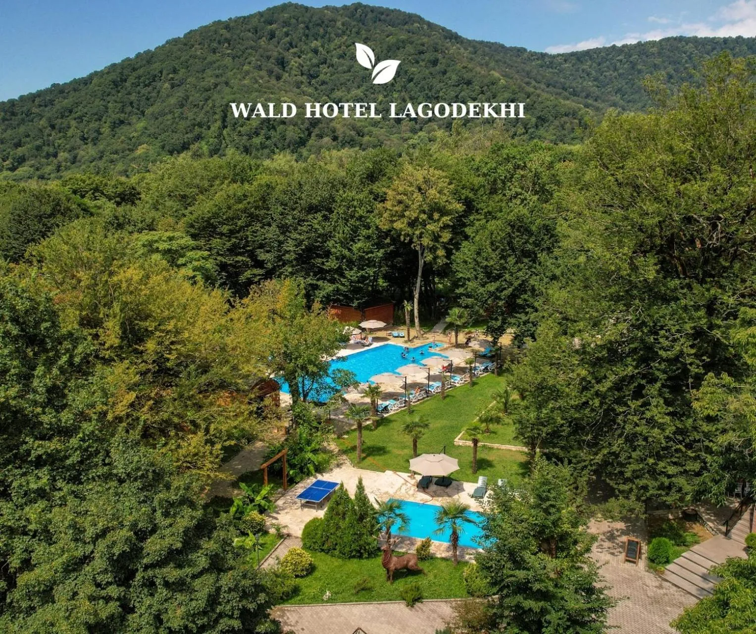 Wald Hotel Lagodekhi Rooms