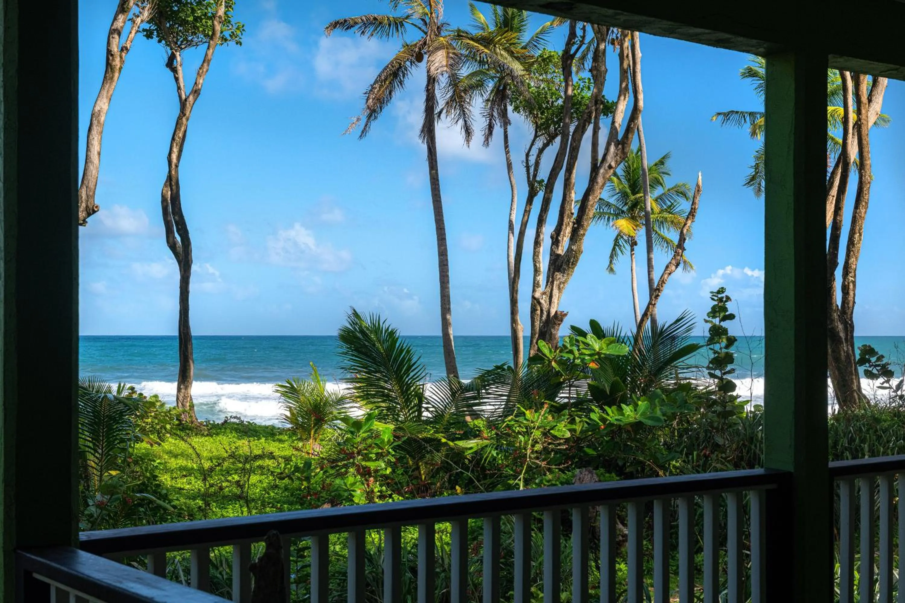 Balcony/Terrace in Rosalie Bay Eco Resort & Spa